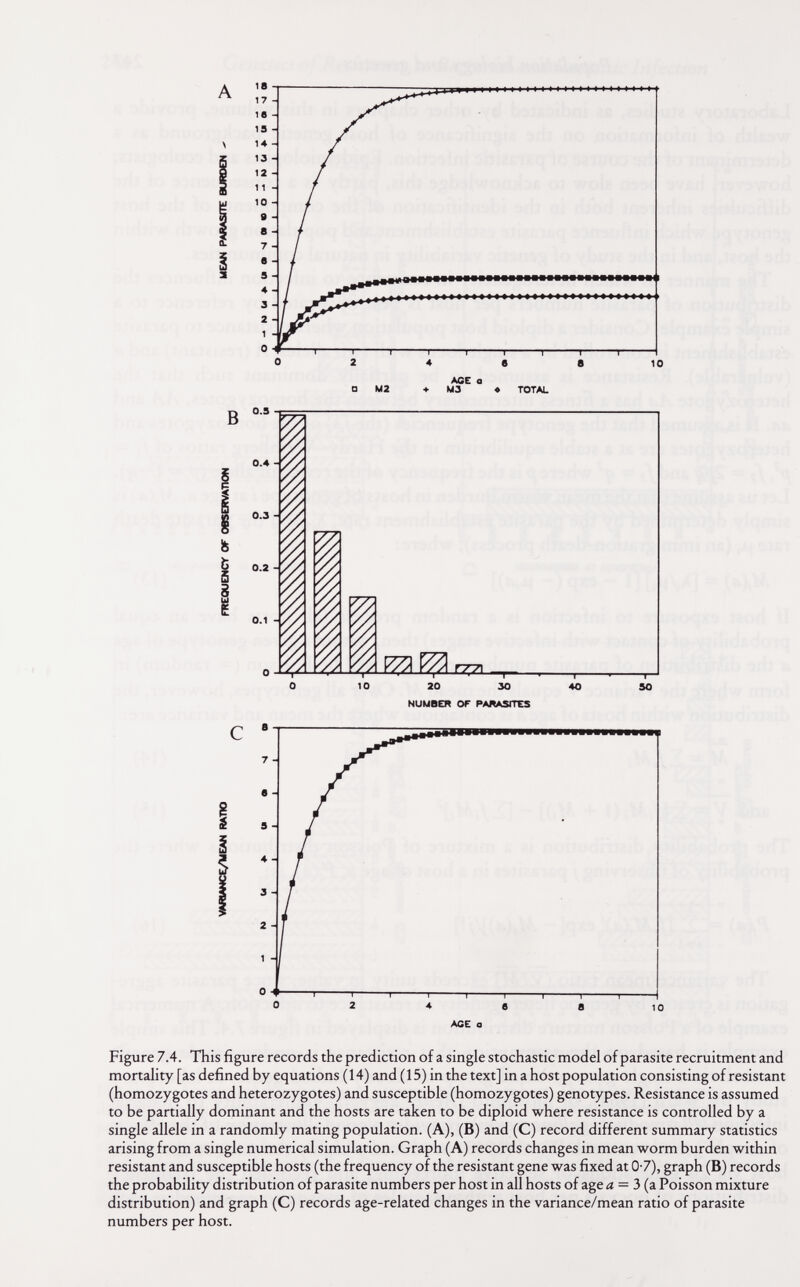 в I ь ìi s TOTAL I Г77\ 10 20 30 NUMBER OF PARASnrS 40 —Г- 50 AGE a Figure 7.4. This figure records the prediction of a single stochastic model of parasite recruitment and mortality [as defined by equations (14) and ( 15) in the text] in a host population consisting of resistant (homozygotes and heterozygotes) and susceptible (homozygotes) genotypes. Resistance is assumed to be partially dominant and the hosts are taken to be diploid where resistance is controlled by a single allele in a randomly mating population. (A), (B) and (C) record different summary statistics arising from a single numerical simulation. Graph (A) records changes in mean worm burden within resistant and susceptible hosts (the frequency of the resistant gene was fixed at 0-7), graph (B) records the probability distribution of parasite numbers per host in all hosts of age d = 3 (a Poisson mixture distribution) and graph (C) records age-related changes in the variance/mean ratio of parasite numbers per host.
