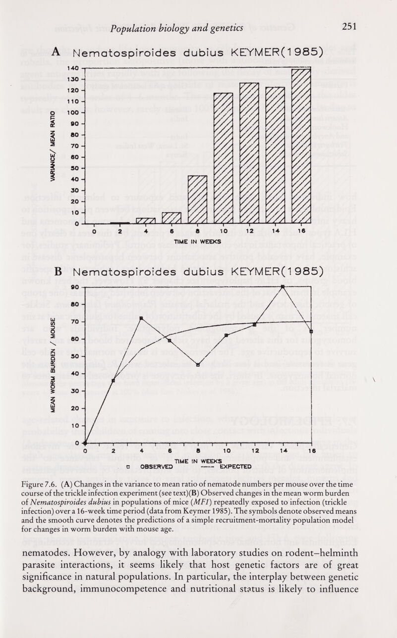 Population biology and genetics 251 A Nematospiroides dubîus KEYMER(1985) 140 130 120 110 0 100 1 90 i во 3 70 ^ во i SO I 40 30 20 10 О TIME IN WEEKS В Nematospiroides dubius KEYMER(1985) S 20- 10 - 0 -f Г—1 1 1 1 1 1 1 1 1 1 1 1 1 1 0 2 4 6 e 10 12 14 16 TIME IN WEEKS Q OBSERVED EXPECTED Figure 7.6. (A) Changes in the variance to mean ratio of nematode numbers per mouse over the time course of the trickle infection experiment (see text)(B) Observed changes in the mean worm burden of Nematospiroides dubius in populations of mice (MFl) repeatedly exposed to infection (trickle infection) over a 16-week time period (data from Keymer 1985). The symbols denote observed means and the smooth curve denotes the predictions of a simple recruitment-mortality population model for changes in worm burden with mouse age. nematodes. However, by analogy with laboratory studies on rodent-helminth parasite interactions, it seems likely that host genetic factors are of great significance in natural populations. In particular, the interplay between genetic background, immunocompetence and nutritional status is likely to influence