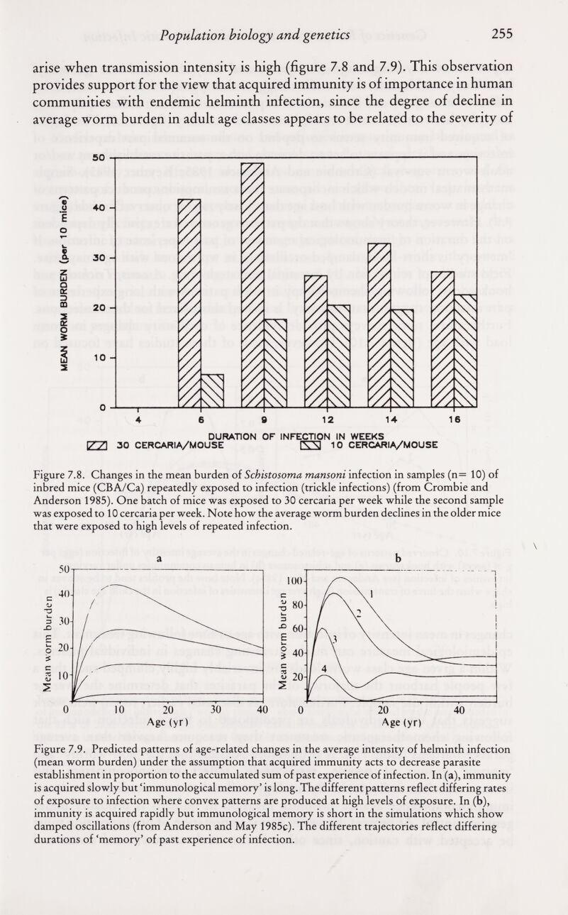 Population biology and genetics 255 arise when transmission intensity is high (figure 7.8 and 7.9). This observation provides support for the view that acquired immunity is of importance in human communities with endemic helminth infection, since the degree of dechne in average worm burden in adult age classes appears to be related to the severity of i. a a: m 2 Oí О » 50 40 - 30 20 - 10 - Т 4 12 14 16 DURATION OF INFECTION IN WEEKS 177I 30 CERCARIA/MOUSE 10 CERCARIA/MOUSE Figure 7.8. Changes in the mean burden of Schistosoma mansoni infection in samples (n= 10) of inbred mice (CBA/Ca) repeatedly exposed to infection (trickle infections) (from Crombie and Anderson 1985). One batch of mice was exposed to 30 cercaria per week while the second sample was exposed to 10 cercaria per week. Note how the average worm burden declines in the older mice that were exposed to high levels of repeated infection. a X) Й 20 Figure 7.9. Predicted patterns of age-related changes in the average intensity of helminth infection (mean worm burden) under the assumption that acquired immunity acts to decrease parasite establishment in proportion to the accumulated sum of past experience of infection. In (a), immunity is acquired slowly but 'immunological memory' is long. The different patterns reflect differing rates of exposure to infection where convex patterns are produced at high levels of exposure. In (b), immunity is acquired rapidly but immunological memory is short in the simulations which show damped oscillations (from Anderson and May 1985c). The different trajectories reflect differing durations of 'memory' of past experience of infection.