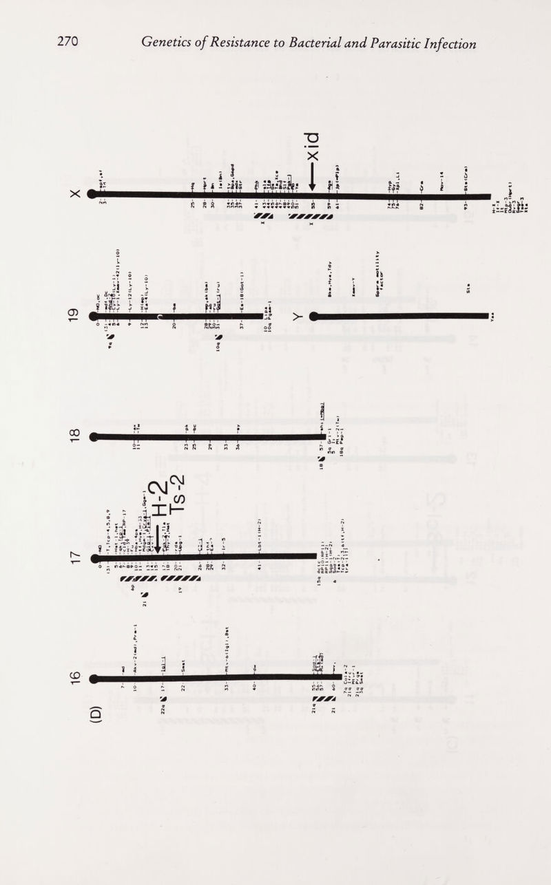 270 Genetics of Resistance to Bacterial and Parasitic Infection ;d X .il и J îf? Re ó 9fl*r- M Й «мил S Т «Й« <N Л и I I »b '^ЖЛ 'ЖЖЖЖЖЛ 00 R Í. ; rïb,, _ _ H- flKl * »»I • ** - < -, > I ffuiu.i*'HÄJ^(vl .C\J^ Ì.I I 1 Üú 1 1^ 7 о - Г)4Гчв»0-« '-■Ш О— 4 Ф|^ ГЖЖЖЖ. ГЖЖЖЖл CD гжжл