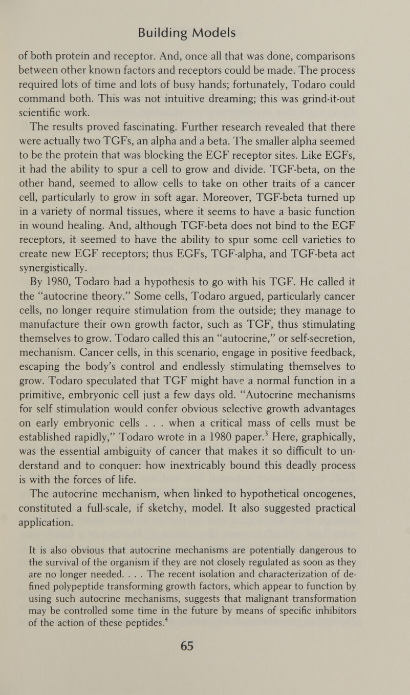 Building Models of both protein and receptor. And, once all that was done, comparisons between other known factors and receptors could be made. The process required lots of time and lots of busy hands; fortunately, Todaro could command both. This was not intuitive dreaming; this was grind-it-out scientific work. The results proved fascinating. Further research revealed that there were actually two TGFs, an alpha and a beta. The smaller alpha seemed to be the protein that was blocking the EGF receptor sites. Like EGFs, it had the ability to spur a cell to grow and divide. TGF-beta, on the other hand, seemed to allow cells to take on other traits of a cancer cell, particularly to grow in soft agar. Moreover, TGF-beta turned up in a variety of normal tissues, where it seems to have a basic function in wound healing. And, although TGF-beta does not bind to the EGF receptors, it seemed to have the ability to spur some cell varieties to create new EGF receptors; thus EGFs, TGF-alpha, and TGF-beta act synergistically. By 1980, Todaro had a hypothesis to go with his TGF. He called it the autocrine theory. Some cells, Todaro argued, particularly cancer cells, no longer require stimulation from the outside; they manage to manufacture their own growth factor, such as TGF, thus stimulating themselves to grow. Todaro called this an autocrine, or self-secretion, mechanism. Cancer cells, in this scenario, engage in positive feedback, escaping the body's control and endlessly stimulating themselves to grow. Todaro speculated that TGF might have a normal function in a primitive, embryonic cell just a few days old. Autocrine mechanisms for self stimulation would confer obvious selective growth advantages on early embryonic cells . . . when a critical mass of cells must be established rapidly, Todaro wrote in a 1980 paper.' Here, graphically, was the essential ambiguity of cancer that makes it so difficult to un¬ derstand and to conquer: how inextricably bound this deadly process is with the forces of life. The autocrine mechanism, when linked to hypothetical oncogenes, constituted a full-scale, if sketchy, model. It also suggested practical application. It is also obvious that autocrine mechanisms are potentially dangerous to the survival of the organism if they are not closely regulated as soon as they are no longer needed. . . . The recent isolation and characterization of de¬ fined polypeptide transforming growth factors, which appear to function by using such autocrine mechanisms, suggests that malignant transformation may be controlled some time in the future by means of specific inhibitors of the action of these peptides.'^ 65