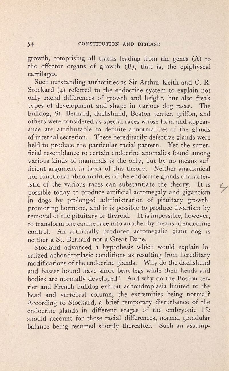 54 CONSTITUTION AND DISEASE growth, comprising all tracks leading from the genes (A) to the effector organs of growth (B), that is, the epiphyseal cartilages. Such outstanding authorities as Sir Arthur Keith and C. R, Stockard (4) referred to the endocrine system to explain not only racial differences of growth and height, but also freak types of development and shape in various dog races. The bulldog, St. Bernard, dachshund, Boston terrier, griffon, and others were considered as special races whose form and appear¬ ance are attributable to definite abnormalities of the glands of internal secretion. These hereditarily defective glands were held to produce the particular racial pattern. Yet the super¬ ficial resemblance to certain endocrine anomalies found among various kinds of mammals is the only, but by no means suf¬ ficient argument in favor of this theory. Neither anatomical nor functional abnormalities of the endocrine glands character¬ istic of the various races can substantiate the theory. It is possible today to produce artificial acromegaly and gigantism in dogs by prolonged administration of pituitary growth- promoting hormone, and it is possible to produce dwarfism by removal of the pituitary or thyroid. It is impossible, however, to transform one canine race into another by means of endocrine control. An artificially produced acromegalic giant dog is neither a St. Bernard nor a Great Dane, Stockard advanced a hypothesis which would explain lo¬ calized achondroplasic conditions as resulting from hereditary modifications of the endocrine glands. Why do the dachshund and basset hound have short bent legs while their heads and bodies are normally developed? And why do the Boston ter¬ rier and French bulldog exhibit achondroplasia limited to the head and vertebral column, the extremities being normal? According to Stockard, a brief temporary disturbance of the endocrine glands in different stages of the embryonic life should account for those racial differences, normal glandular balance being resumed shortly thereafter. Such an assump-