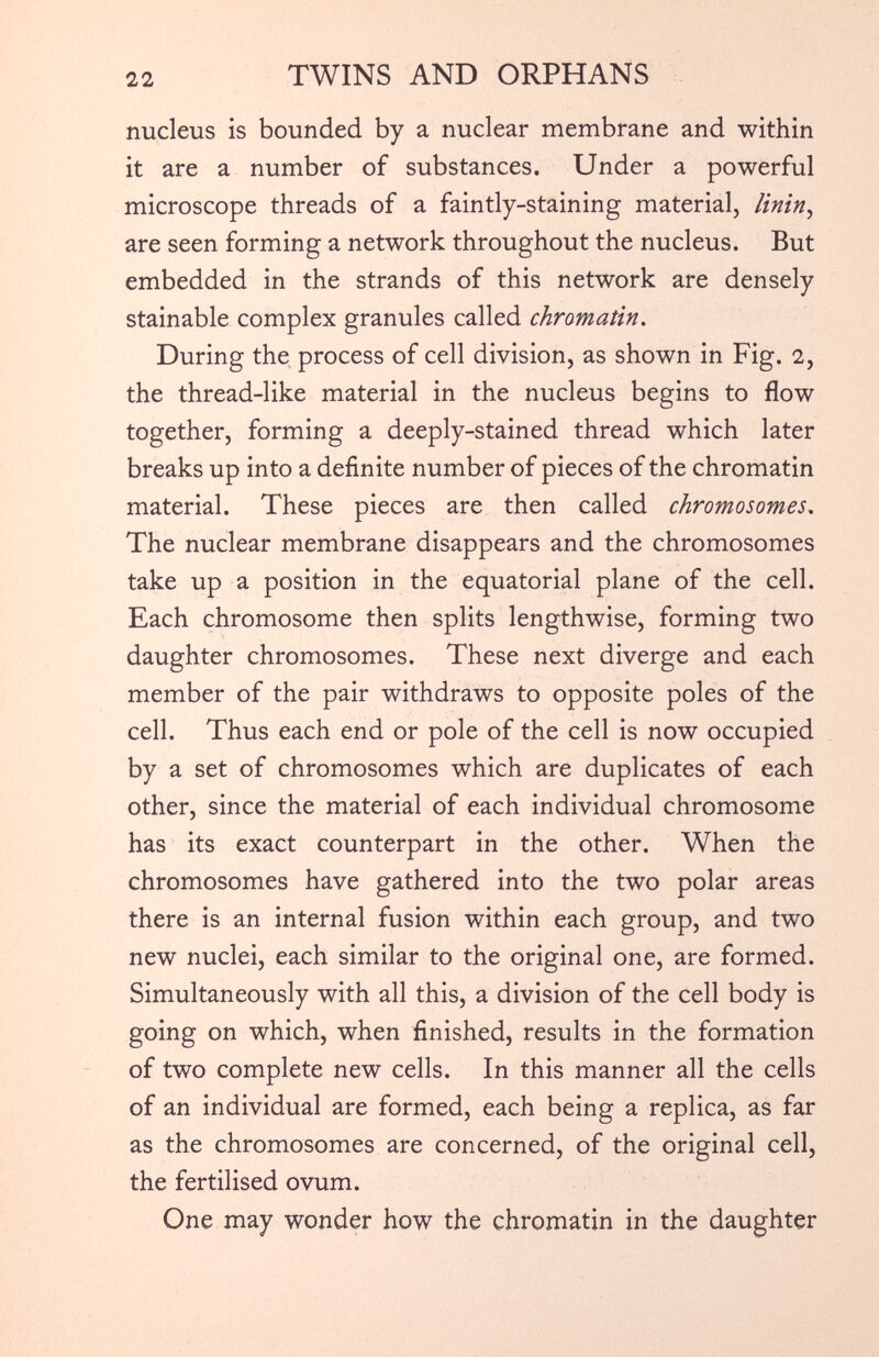 nucleus is bounded by a nuclear membrane and within it are a number of substances. Under a powerful microscope threads of a faintly-staining material, linin, are seen forming a network throughout the nucleus. But embedded in the strands of this network are densely stainable complex granules called chromatin. During the process of cell division, as shown in Fig. 2, the thread-like material in the nucleus begins to flow together, forming a deeply-stained thread which later breaks up into a definite number of pieces of the chromatin material. These pieces are then called chromosomes . The nuclear membrane disappears and the chromosomes take up a position in the equatorial plane of the cell. Each chromosome then splits lengthwise, forming two daughter chromosomes. These next diverge and each member of the pair withdraws to opposite poles of the cell. Thus each end or pole of the cell is now occupied by a set of chromosomes which are duplicates of each other, since the material of each individual chromosome has its exact counterpart in the other. When the chromosomes have gathered into the two polar areas there is an internal fusion within each group, and two new nuclei, each similar to the original one, are formed. Simultaneously with all this, a division of the cell body is going on which, when finished, results in the formation of two complete new cells. In this manner all the cells of an individual are formed, each being a replica, as far as the chromosomes are concerned, of the original cell, the fertilised ovum. One may wonder how the chromatin in the daughter