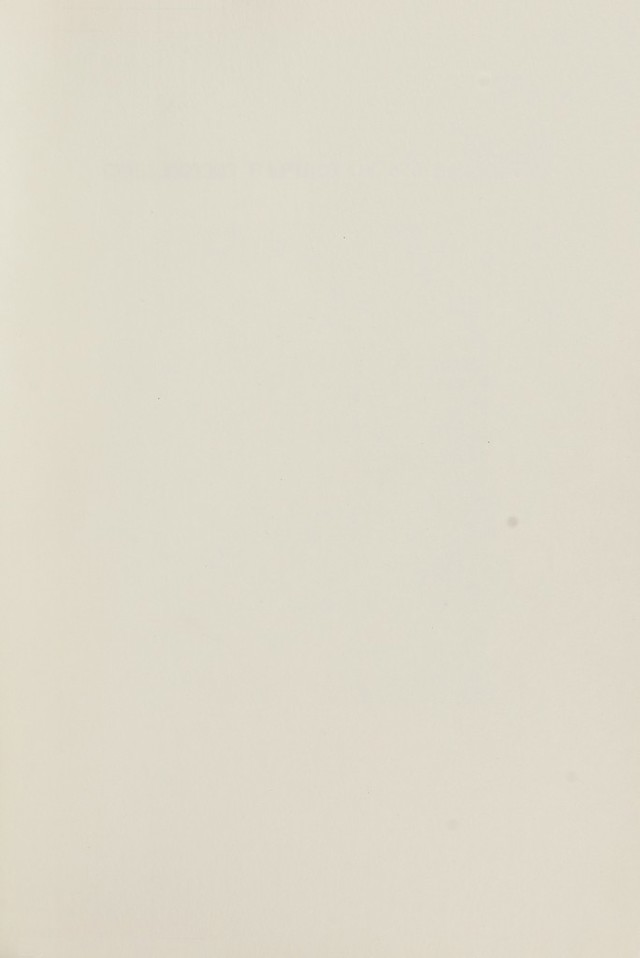 digitised image 3