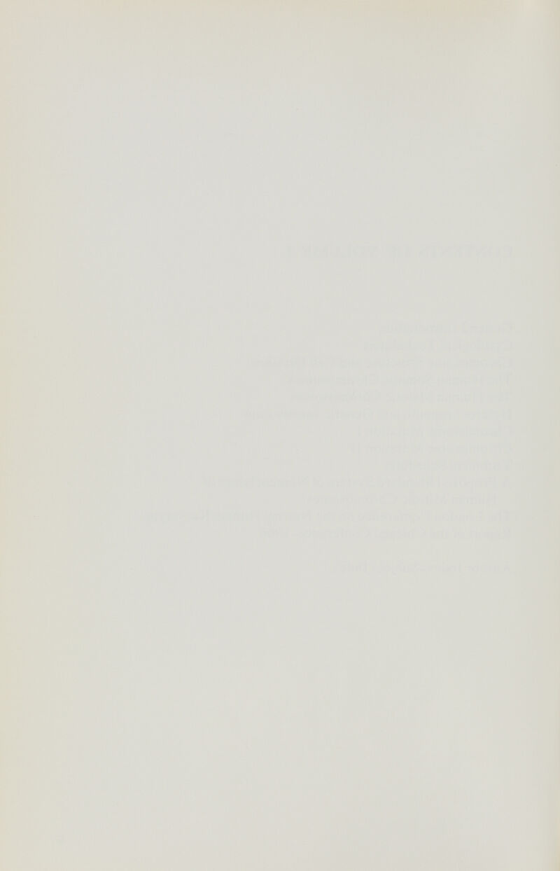 т^ЛГу Í >^^'- ш Ш- m *■ ^ t. ^ л ш rir^ А Ш }Ш^Шш€т Ж * ^ f ^ ^ ?'='*л'!. f ' ,' ^Х 1С  ÄT/,. .if . „tr ^ , + v^ -йив.йв,Нгийй* 4шк ^;Ш^Ш » ' w, -,,«Е î я**»* ■fi - --Ч , , ^r^T « ■—.•* --i 'í î-yr,. Si№SSra;«5&ïf№ïiiiifl' ■ yir#: щ ШшШШЯ P.r: Ш W г W& .• \ . 'к » -и b-f f ' *,.'t^ . -^ TCrZ^J^lrAiD^cr.tìS-i®.»