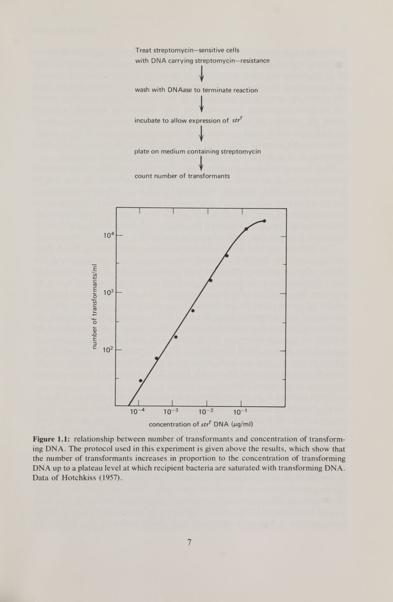Treat streptomycin—sensitive cells with DNA carrying streptomycin—resistance 1 wash with DNAase to terminate reaction I incubate to allow expression of str r \ plate on medium containing streptomycin I count number of transformants c cu 0) .Q E D 1er 4 10- 3 1er 2 io -1 concentration of str r DNA (/ig/ml) Figure 1.1: relationship between number of transformants and concentration of transform ing DNA. The protocol used in this experiment is given above the results, which show that the number of transformants increases in proportion to the concentration of transforming DNA up to a plateau level at which recipient bacteria are saturated with transforming DNA. Data of Hotchkiss (1957).