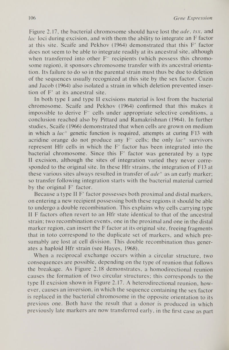 Figure 2.17, the bacterial chromosome should have lost the ade, tsx, and lac loci during excision, and with them the ability to integrate an F factor at this site. Scaife and Pekhov (1964) demonstrated that this F' factor does not seem to be able to integrate readily at its ancestral site, although when transferred into other F~ recipients (which possess this chromo some region), it sponsors chromosome transfer with its ancestral orienta tion. Its failure to do so in the parental strain must thus be due to deletion of the sequences usually recognized at this site by the sex factor. Cuzin and Jacob (1964) also isolated a strain in which deletion prevented inser tion of F' at its ancestral site. In both type I and type II excisions material is lost from the bacterial chromosome. Scaife and Pekhov (1964) confirmed that this makes it impossible to derive ¥~ cells under appropriate selective conditions, a conclusion reached also by Pittard and Ramakrishnan (1964). In further studies, Scaife (1966) demonstrated that when cells are grown on medium in which a lac + genetic function is required, attempts at curing F13 with acridine orange do not produce any F~ cells; the only lac + survivors represent Hfr cells in which the F' factor has been integrated into the bacterial chromosome. Since this F' factor was generated by a type II excision, although the sites of integration varied they never corre sponded to the original site. In these Hfr strains, the integration of F13 at these various sites always resulted in transfer of ade + as an early marker; so transfer following integration starts with the bacterial material carried by the original F' factor. Because a type II F' factor possesses both proximal and distal markers, on entering a new recipient possessing both these regions it should be able to undergo a double recombination. This explains why cells carrying type II F factors often revert to an Hfr state identical to that of the ancestral strain; two recombination events, one in the proximal and one in the distal marker region, can insert the F factor at its original site, freeing fragments that in toto correspond to the duplicate set of markers, and which pre sumably are lost at cell division. This double recombination thus gener ates a haploid Hfr strain (see Hayes, 1968). When a reciprocal exchange occurs within a circular structure, two consequences are possible, depending on the type of reunion that follows the breakage. As Figure 2.18 demonstrates, a homodirectional reunion causes the formation of two circular structures; this corresponds to the type II excision shown in Figure 2.17. A heterodirectional reunion, how ever, causes an inversion, in which the sequence containing the sex factor is replaced in the bacterial chromosome in the opposite orientation to its previous one. Both have the result that a donor is produced in which previously late markers are now transferred early, in the first case as part