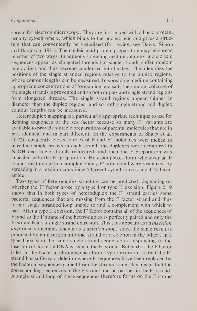 spread for electron microscopy. They are first mixed with a basic protein, usually cytochrome c, which binds to the nucleic acid and gives a struc ture that can conveniently be visualized (for review see Davis, Simon and Davidson, 1971). The nucleic acid-protein preparation may be spread in either of two ways. In aqueous spreading medium, duplex nucleic acid sequences appear as elongated threads but single strands suffer random interactions and thus become condensed into bushes. This identifies the positions of the single stranded regions relative to the duplex regions, whose contour lengths can be measured. In spreading medium containing appropriate concentrations of formamide and salt, the random collapse of the single strands is prevented and so both duplex and single strand regions form elongated threads. The single strand regions appear thinner in diameter than the duplex regions, and so both single strand and duplex contour lengths can be measured. Heteroduplex mapping is a particularly appropriate technique to use for defining sequences of the sex factor because so many F' variants are available to provide suitable preparations of parental molecules that are in part identical and in part different. In the experiments of Sharp et al. (1972), covalently closed circles of F and F' molecules were nicked to introduce single breaks in each strand, the duplexes were denatured in NaOH and single strands recovered, and then the F preparation was annealed with the F' preparation. Heteroduplexes form whenever an F strand renatures with a complementary F' strand and were visualized by spreading in a medium containing 50 /xg/ml cytochrome c and 45% form- amide. Two types of heteroduplex structure can be predicted, depending on whether the F' factor arose by a type I or type II excision. Figure 2.19 shows that in both types of heteroduplex the F' strand carries some bacterial sequences that are missing from the F factor strand and thus form a single stranded loop unable to find a complement with which to pair. After a type II excision, the F' factor contains all of the sequences of F; and so the F strand of the heteroduplex is perfectly paired and only the F' strand bears a single strand extrusion. This thus appears as an insertion loop (also sometimes known as a deletion loop , since the same result is produced by an insertion into one strand or a deletion in the other). In a type I excision the same single strand sequence corresponding to the insertion of bacterial DNA is seen in the F' strand. But part of the F factor is left in the bacterial chromosome after a type I excision, so that the F' strand has suffered a deletion where F sequences have been replaced by the bacterial sequences gained from the chromosome; this means that the corresponding sequences in the F strand find no partner in the F' strand. A single strand loop of these sequences therefore forms on the F strand