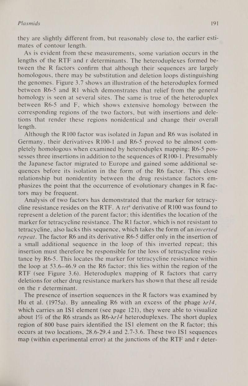 they are slightly different from, but reasonably close to, the earlier esti mates of contour length. As is evident from these measurements, some variation occurs in the lengths of the RTF and r determinants. The heteroduplexes formed be tween the R factors confirm that although their sequences are largely homologous, there may be substitution and deletion loops distinguishing the genomes. Figure 3.7 shows an illustration of the heteroduplex formed between R6-5 and R1 which demonstrates that relief from the general homology is seen at several sites. The same is true of the heteroduplex between R6-5 and F, which shows extensive homology between the corresponding regions of the two factors, but with insertions and dele tions that render these regions nonidentical and change their overall length. Although the R100 factor was isolated in Japan and R6 was isolated in Germany, their derivatives R100-1 and R6-5 proved to be almost com pletely homologous when examined by heteroduplex mapping; R6-5 pos sesses three insertions in addition to the sequences of R100-1. Presumably the Japanese factor migrated to Europe and gained some additional se quences before its isolation in the form of the R6 factor. This close relationship but nonidentity between the drug resistance factors em phasizes the point that the occurrence of evolutionary changes in R fac tors may be frequent. Analysis of two factors has demonstrated that the marker for tetracy cline resistance resides on the RTF. A tet s derivative of R100 was found to represent a deletion of the parent factor; this identifies the location of the marker for tetracycline resistance. The R1 factor, which is not resistant to tetracycline, also lacks this sequence, which takes the form of an inverted repeat. The factor R6 and its derivative R6-5 differ only in the insertion of a small additional sequence in the loop of this inverted repeat; this insertion must therefore be responsible for the loss of tetracycline resis tance by R6-5. This locates the marker for tetracycline resistance within the loop at 53.6-46.9 on the R6 factor; this lies within the region of the RTF (see Figure 3.6). Heteroduplex mapping of R factors that carry deletions for other drug resistance markers has shown that these all reside on the r determinant. The presence of insertion sequences in the R factors was examined by Hu et al. (1975a). By annealing R6 with an excess of the phage \rl4, which carries an IS1 element (see page 121), they were able to visualize about \% of the R6 strands as R6 -krl4 heteroduplexes. The short duplex region of 800 base pairs identified the IS1 element on the R factor; this occurs at two locations, 28.6-29.4 and 2.7-3.6. These two IS1 sequences map (within experimental error) at the junctions of the RTF and r deter-