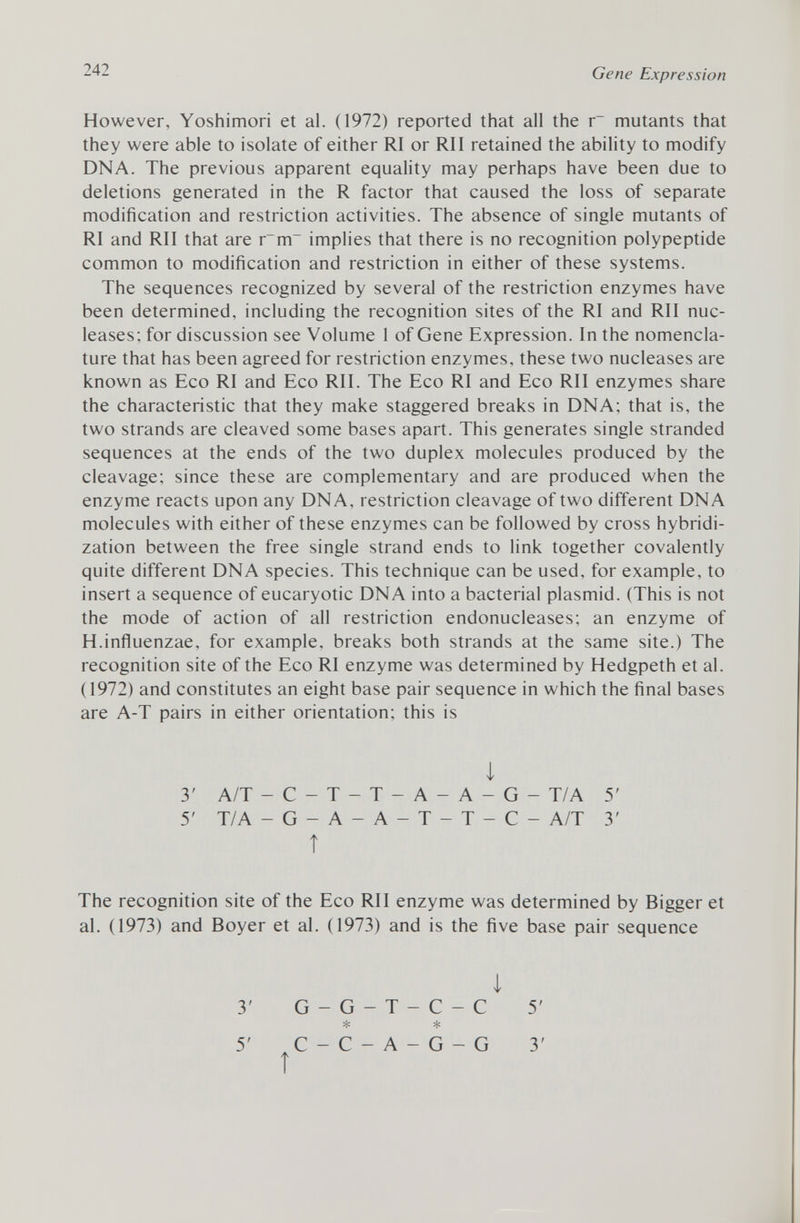 However, Yoshimori et al. (1972) reported that all the r~ mutants that they were able to isolate of either RI or RI I retained the ability to modify DNA. The previous apparent equality may perhaps have been due to deletions generated in the R factor that caused the loss of separate modification and restriction activities. The absence of single mutants of RI and RII that are r~m~ implies that there is no recognition polypeptide common to modification and restriction in either of these systems. The sequences recognized by several of the restriction enzymes have been determined, including the recognition sites of the RI and RII nuc leases; for discussion see Volume 1 of Gene Expression. In the nomencla ture that has been agreed for restriction enzymes, these two nucleases are known as Eco RI and Eco RII. The Eco RI and Eco RII enzymes share the characteristic that they make staggered breaks in DNA; that is, the two strands are cleaved some bases apart. This generates single stranded sequences at the ends of the two duplex molecules produced by the cleavage; since these are complementary and are produced when the enzyme reacts upon any DNA, restriction cleavage of two different DNA molecules with either of these enzymes can be followed by cross hybridi zation between the free single strand ends to link together covalently quite different DNA species. This technique can be used, for example, to insert a sequence of eucaryotic DNA into a bacterial plasmid. (This is not the mode of action of all restriction endonucleases; an enzyme of H.influenzae, for example, breaks both strands at the same site.) The recognition site of the Eco RI enzyme was determined by Hedgpeth et al. (1972) and constitutes an eight base pair sequence in which the final bases are A-T pairs in either orientation; this is 1 3' A/T - C - T - T - A - A - G - T/A 5' 5' T/A - G - A - A - T - T - C - A/T 3' Î The recognition site of the Eco RII enzyme was determined by Bigger et al. (1973) and Boyer et al. (1973) and is the five base pair sequence 1 3' G-G-T-C-C 5' % * 5'C-C-A-G-G 3' Î