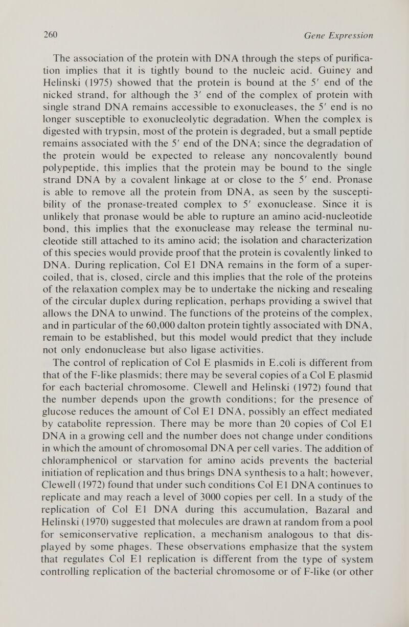 The association of the protein with DNA through the steps of purifica tion implies that it is tightly bound to the nucleic acid. Guiney and Helinski (1975) showed that the protein is bound at the 5' end of the nicked strand, for although the 3' end of the complex of protein with single strand DNA remains accessible to exonucleases, the 5' end is no longer susceptible to exonucleolytic degradation. When the complex is digested with trypsin, most of the protein is degraded, but a small peptide remains associated with the 5' end of the DNA; since the degradation of the protein would be expected to release any noncovalently bound polypeptide, this implies that the protein may be bound to the single strand DNA by a covalent linkage at or close to the 5' end. Pronase is able to remove all the protein from DNA, as seen by the suscepti bility of the pronase-treated complex to 5' exonuclease. Since it is unlikely that pronase would be able to rupture an amino acid-nucleotide bond, this implies that the exonuclease may release the terminal nu cleotide still attached to its amino acid; the isolation and characterization of this species would provide proof that the protein is covalently linked to DNA. During replication, Col El DNA remains in the form of a super- coiled, that is, closed, circle and this implies that the role of the proteins of the relaxation complex may be to undertake the nicking and resealing of the circular duplex during replication, perhaps providing a swivel that allows the DNA to unwind. The functions of the proteins of the complex, and in particular of the 60,000 dalton protein tightly associated with DNA, remain to be established, but this model would predict that they include not only endonuclease but also ligase activities. The control of replication of Col E plasmids in E.coli is different from that of the F-like plasmids; there may be several copies of a Col E plasmid for each bacterial chromosome. Clewell and Helinski (1972) found that the number depends upon the growth conditions; for the presence of glucose reduces the amount of Col El DNA, possibly an effect mediated by catabolite repression. There may be more than 20 copies of Col El DNA in a growing cell and the number does not change under conditions in which the amount of chromosomal DNA per cell varies. The addition of chloramphenicol or starvation for amino acids prevents the bacterial initiation of replication and thus brings DNA synthesis to a halt; however, Clewell (1972) found that under such conditions Col E1 DNA continues to replicate and may reach a level of 3000 copies per cell. In a study of the replication of Col El DNA during this accumulation, Bazaral and Helinski (1970) suggested that molecules are drawn at random from a pool for semiconservative replication, a mechanism analogous to that dis played by some phages. These observations emphasize that the system that regulates Col El replication is different from the type of system controlling replication of the bacterial chromosome or of F-like (or other