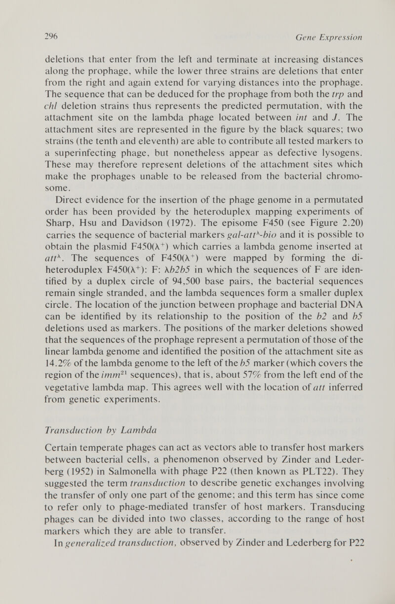 deletions that enter from the left and terminate at increasing distances along the prophage, while the lower three strains are deletions that enter from the right and again extend for varying distances into the prophage. The sequence that can be deduced for the prophage from both the trp and chi deletion strains thus represents the predicted permutation, with the attachment site on the lambda phage located between ini and J. The attachment sites are represented in the figure by the black squares; two strains (the tenth and eleventh) are able to contribute all tested markers to a superinfecting phage, but nonetheless appear as defective lysogens. These may therefore represent deletions of the attachment sites which make the prophages unable to be released from the bacterial chromo some. Direct evidence for the insertion of the phage genome in a permutated order has been provided by the heteroduplex mapping experiments of Sharp, Hsu and Davidson (1972). The episome F450 (see Figure 2.20) carries the sequence of bacterial markers gal-att k -bio and it is possible to obtain the plasmid F450(\ + ) which carries a lambda genome inserted at att K . The sequences of F450(X + ) were mapped by forming the di- heteroduplex F450(\ + ): F: Kb2b5 in which the sequences of F are iden tified by a duplex circle of 94,500 base pairs, the bacterial sequences remain single stranded, and the lambda sequences form a smaller duplex circle. The location of the junction between prophage and bacterial DNA can be identified by its relationship to the position of the b2 and b5 deletions used as markers. The positions of the marker deletions showed that the sequences of the prophage represent a permutation of those of the linear lambda genome and identified the position of the attachment site as 14.2% of the lambda genome to the left of the b5 marker (which covers the region of the imm 21 sequences), that is, about 57% from the left end of the vegetative lambda map. This agrees well with the location of att inferred from genetic experiments. Transduction by Lambda Certain temperate phages can act as vectors able to transfer host markers between bacterial cells, a phenomenon observed by Zinder and Leder- berg (1952) in Salmonella with phage P22 (then known as PLT22). They suggested the term transduction to describe genetic exchanges involving the transfer of only one part of the genome; and this term has since come to refer only to phage-mediated transfer of host markers. Transducing phages can be divided into two classes, according to the range of host markers which they are able to transfer. In generalized transduction, observed by Zinder and Lederberg for P22