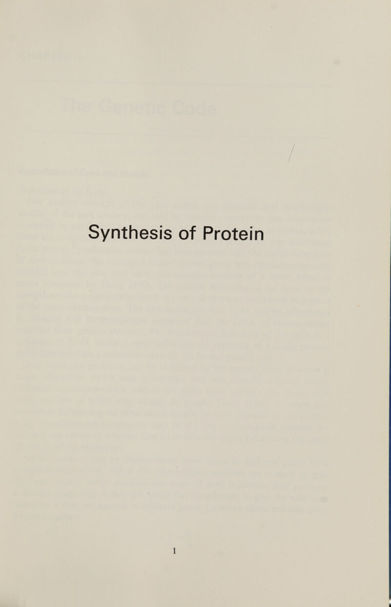 Synthesis of Protein