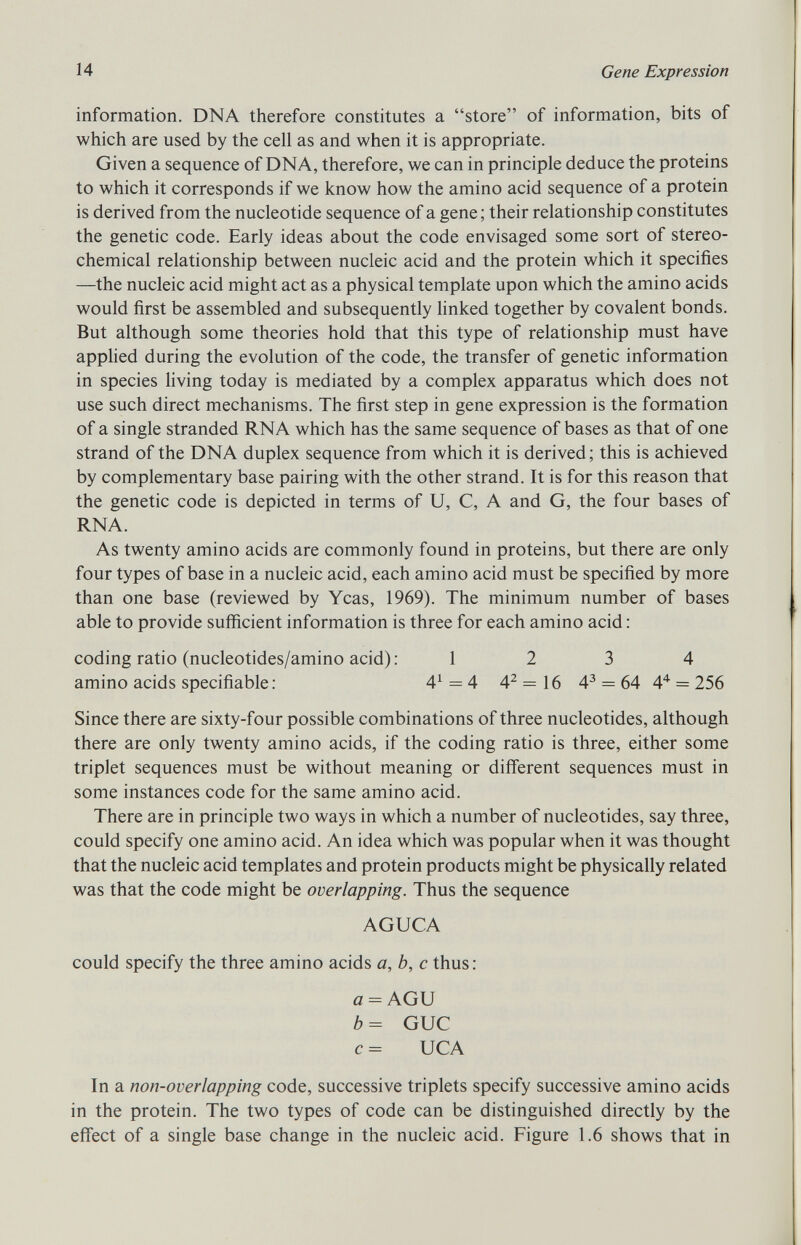 information. DNA therefore constitutes a store of information, bits of which are used by the cell as and when it is appropriate. Given a sequence of DNA, therefore, we can in principle deduce the proteins to which it corresponds if we know how the amino acid sequence of a protein is derived from the nucleotide sequence of a gene; their relationship constitutes the genetic code. Early ideas about the code envisaged some sort of stereo chemical relationship between nucleic acid and the protein which it specifies —the nucleic acid might act as a physical template upon which the amino acids would first be assembled and subsequently linked together by covalent bonds. But although some theories hold that this type of relationship must have applied during the evolution of the code, the transfer of genetic information in species living today is mediated by a complex apparatus which does not use such direct mechanisms. The first step in gene expression is the formation of a single stranded RNA which has the same sequence of bases as that of one strand of the DNA duplex sequence from which it is derived; this is achieved by complementary base pairing with the other strand. It is for this reason that the genetic code is depicted in terms of U, C, A and G, the four bases of RNA. As twenty amino acids are commonly found in proteins, but there are only four types of base in a nucleic acid, each amino acid must be specified by more than one base (reviewed by Yeas, 1969). The minimum number of bases able to provide sufficient information is three for each amino acid : coding ratio (nucleotides/amino acid): 12 3 4 amino acids specifiable: 4 1 = 4 4 2 = 16 4 3 = 64 4 4 = 256 Since there are sixty-four possible combinations of three nucleotides, although there are only twenty amino acids, if the coding ratio is three, either some triplet sequences must be without meaning or different sequences must in some instances code for the same amino acid. There are in principle two ways in which a number of nucleotides, say three, could specify one amino acid. An idea which was popular when it was thought that the nucleic acid templates and protein products might be physically related was that the code might be overlapping. Thus the sequence AGUCA could specify the three amino acids a , b, c thus: a = AGU b= GUC c = UCA In a non-overlapping code, successive triplets specify successive amino acids in the protein. The two types of code can be distinguished directly by the effect of a single base change in the nucleic acid. Figure 1.6 shows that in