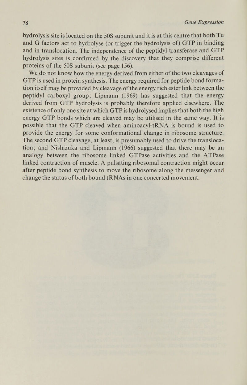 hydrolysis site is located on the 50S subunit and it is at this centre that both Tu and G factors act to hydrolyse (or trigger the hydrolysis of) GTP in binding and in translocation. The independence of the peptidyl transferase and GTP hydrolysis sites is confirmed by the discovery that they comprise different proteins of the 50S subunit (see page 156). We do not know how the energy derived from either of the two cleavages of GTP is used in protein synthesis. The energy required for peptide bond forma tion itself may be provided by cleavage of the energy rich ester link between the peptidyl carboxyl group; Lipmann (1969) has suggested that the energy derived from GTP hydrolysis is probably therefore applied elsewhere. The existence of only one site at which GTP is hydrolysed implies that both the high energy GTP bonds which are cleaved may be utilised in the same way. It is possible that the GTP cleaved when aminoacyl-tRNA is bound is used to provide the energy for some conformational change in ribosome structure. The second GTP cleavage, at least, is presumably used to drive the transloca tion; and Nishizuka and Lipmann (1966) suggested that there may be an analogy between the ribosome linked GTPase activities and the ATPase linked contraction of muscle. A pulsating ribosomal contraction might occur after peptide bond synthesis to move the ribosome along the messenger and change the status of both bound tRNAs in one concerted movement.