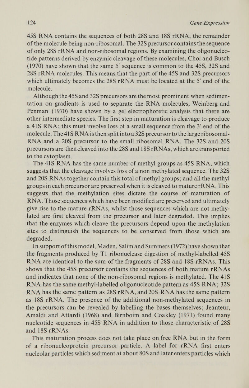 45S RNA contains the sequences of both 28S and 18S rRNA, the remainder of the molecule being non-ribosomal. The 32S precursor contains the sequence of only 28S rRNA and non-ribosomal regions. By examining the oligonucleo tide patterns derived by enzymic cleavage of these molecules, Choi and Busch (1970) have shown that the same 5' sequence is common to the 45S, 32S and 28S rRNA molecules. This means that the part of the 45S and 32S precursors which ultimately becomes the 28S rRNA must be located at the 5' end of the molecule. Although the 45S and 32S precursors are the most prominent when sedimen tation on gradients is used to separate the RNA molecules, Weinberg and Penman (1970) have shown by a gel electrophoretic analysis that there are other intermediate species. The first step in maturation is cleavage to produce a 41S RNA; this must involve loss of a small sequence from the 3' end of the molecule. The 41S RNA is then split into a 32S precursor to the large ribosomal- RNA and a 20S precursor to the small ribosomal RNA. The 32S and 20S precursors are then cleaved into the 28S and 18S rRNAs, which are transported to the cytoplasm. The 41S RNA has the same number of methyl groups as 45S RNA, which suggests that the cleavage involves loss of a non methylated sequence. The 32S and 20S RNAs together contain this total of methyl groups; and all the methyl groups in each precursor are preserved when it is cleaved to mature rRNA. This suggests that the methylation sites dictate the course of maturation of RNA. Those sequences which have been modified are preserved and ultimately give rise to the mature rRNAs, whilst those sequences which are not methy lated are first cleaved from the precursor and later degraded. This implies that the enzymes which cleave the precursors depend upon the methylation sites to distinguish the sequences to be conserved from those which are degraded. In support of this model, Maden, Salim and Summers (1972) have shown that the fragments produced by T1 ribonuclease digestion of methyl-labelled 45S RNA are identical to the sum of the fragments of 28S and 18S rRNAs. This shows that the 45S precursor contains the sequences of both mature rRNAs and indicates that none of the non-ribosomal regions is methylated. The 41S RNA has the same methyl-labelled oligonucleotide pattern as 45S RNA; 32S RNA has the same pattern as 28S rRNA, and 20S RNA has the same pattern as 18S rRNA. The presence of the additional non-methylated sequences in the precursors can be revealed by labelling the bases themselves; Jeanteur, Arnaldi and Attardi (1968) and Birnboim and Coakley (1971) found many nucleotide sequences in 45S RNA in addition to those characteristic of 28S and 18S rRNAs. This maturation process does not take place on free RNA but in the form of a ribonucleoprotein precursor particle. A label for rRNA first enters nucleolar particles which sediment at about 80S and later enters particles which