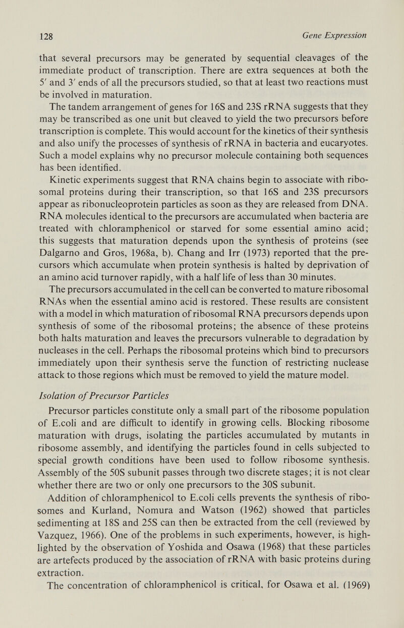 that several precursors may be generated by sequential cleavages of the immediate product of transcription. There are extra sequences at both the 5' and 3' ends of all the precursors studied, so that at least two reactions must be involved in maturation. The tandem arrangement of genes for 16S and 23S rRNA suggests that they may be transcribed as one unit but cleaved to yield the two precursors before transcription is complete. This would account for the kinetics of their synthesis and also unify the processes of synthesis of rRNA in bacteria and eucaryotes. Such a model explains why no precursor molecule containing both sequences has been identified. Kinetic experiments suggest that RNA chains begin to associate with ribo- somal proteins during their transcription, so that 16S and 23S precursors appear as ribonucleoprotein particles as soon as they are released from DNA. RNA molecules identical to the precursors are accumulated when bacteria are treated with chloramphenicol or starved for some essential amino acid; this suggests that maturation depends upon the synthesis of proteins (see Dalgarno and Gros, 1968a, b). Chang and Irr (1973) reported that the pre cursors which accumulate when protein synthesis is halted by deprivation of an amino acid turnover rapidly, with a half life of less than 30 minutes. The precursors accumulated in the cell can be converted to mature ribosomal RNAs when the essential amino acid is restored. These results are consistent with a model in which maturation of ribosomal RNA precursors depends upon synthesis of some of the ribosomal proteins; the absence of these proteins both halts maturation and leaves the precursors vulnerable to degradation by nucleases in the cell. Perhaps the ribosomal proteins which bind to precursors immediately upon their synthesis serve the function of restricting nuclease attack to those regions which must be removed to yield the mature model. Isolation of Precursor Particles Precursor particles constitute only a small part of the ribosome population of E.coli and are difficult to identify in growing cells. Blocking ribosome maturation with drugs, isolating the particles accumulated by mutants in ribosome assembly, and identifying the particles found in cells subjected to special growth conditions have been used to follow ribosome synthesis. Assembly of the 50S subunit passes through two discrete stages; it is not clear whether there are two or only one precursors to the 30S subunit. Addition of chloramphenicol to E.coli cells prevents the synthesis of ribo- somes and Kurland, Nomura and Watson (1962) showed that particles sedimenting at 18S and 25S can then be extracted from the cell (reviewed by Vazquez, 1966). One of the problems in such experiments, however, is high lighted by the observation of Yoshida and Osawa (1968) that these particles are artefects produced by the association of rRNA with basic proteins during extraction. The concentration of chloramphenicol is critical, for Osawa et al. (1969)