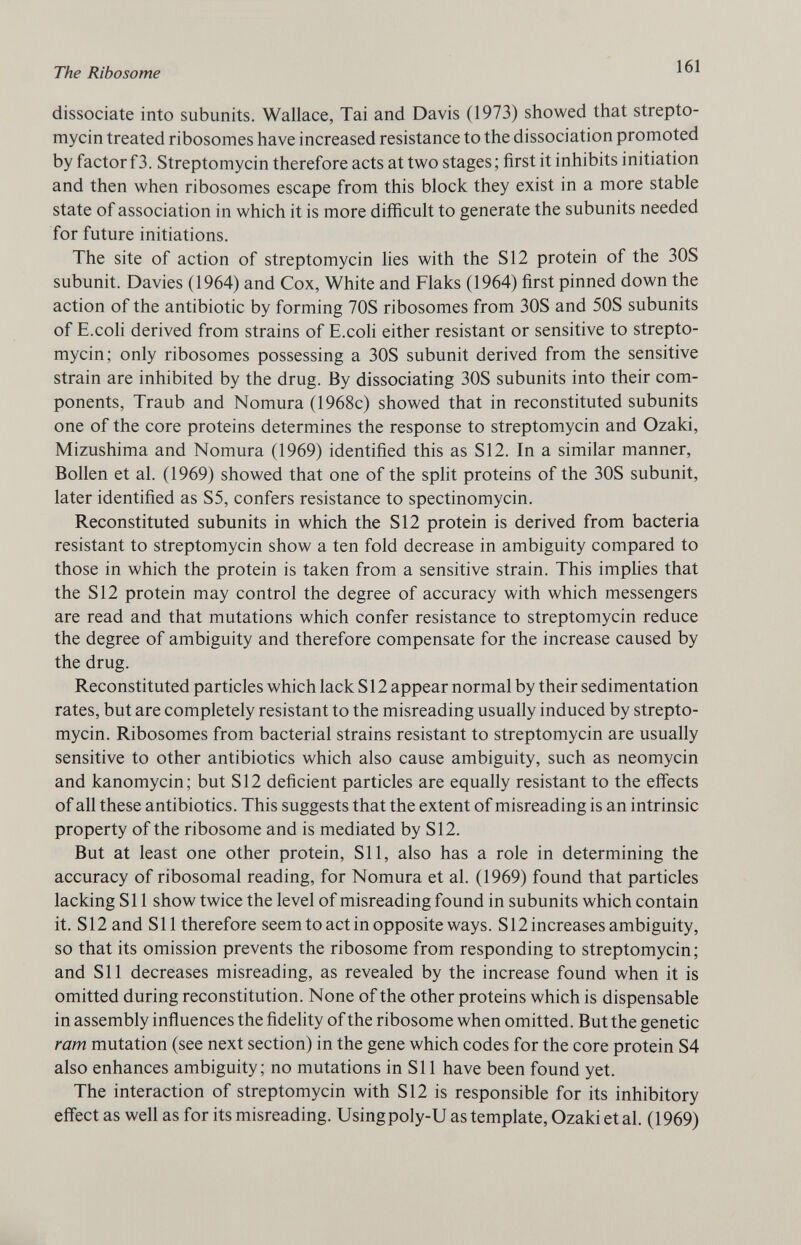 dissociate into subunits. Wallace, Tai and Davis (1973) showed that strepto mycin treated ribosomes have increased resistance to the dissociation promoted by factor f 3. Streptomycin therefore acts at two stages; first it inhibits initiation and then when ribosomes escape from this block they exist in a more stable state of association in which it is more difficult to generate the subunits needed for future initiations. The site of action of streptomycin lies with the S12 protein of the 30S subunit. Davies (1964) and Cox, White and Flaks (1964) first pinned down the action of the antibiotic by forming 70S ribosomes from 30S and 50S subunits of E.coli derived from strains of E.coli either resistant or sensitive to strepto mycin; only ribosomes possessing a 30S subunit derived from the sensitive strain are inhibited by the drug. By dissociating 30S subunits into their com ponents, Traub and Nomura (1968c) showed that in reconstituted subunits one of the core proteins determines the response to streptomycin and Ozaki, Mizushima and Nomura (1969) identified this as S12. In a similar manner, Bollen et al. (1969) showed that one of the split proteins of the 30S subunit, later identified as S5, confers resistance to spectinomycin. Reconstituted subunits in which the S12 protein is derived from bacteria resistant to streptomycin show a ten fold decrease in ambiguity compared to those in which the protein is taken from a sensitive strain. This implies that the S12 protein may control the degree of accuracy with which messengers are read and that mutations which confer resistance to streptomycin reduce the degree of ambiguity and therefore compensate for the increase caused by the drug. Reconstituted particles which lack S12 appear normal by their sedimentation rates, but are completely resistant to the misreading usually induced by strepto mycin. Ribosomes from bacterial strains resistant to streptomycin are usually sensitive to other antibiotics which also cause ambiguity, such as neomycin and kanomycin; but SI2 deficient particles are equally resistant to the effects of all these antibiotics. This suggests that the extent of misreading is an intrinsic property of the ribosome and is mediated by S12. But at least one other protein, Sil, also has a role in determining the accuracy of ribosomal reading, for Nomura et al. (1969) found that particles lacking SI 1 show twice the level of misreading found in subunits which contain it. S12 and S11 therefore seem to act in opposite ways. S12 increases ambiguity, so that its omission prevents the ribosome from responding to streptomycin; and Sil decreases misreading, as revealed by the increase found when it is omitted during reconstitution. None of the other proteins which is dispensable in assembly influences the fidelity of the ribosome when omitted. But the genetic ram mutation (see next section) in the gene which codes for the core protein S4 also enhances ambiguity; no mutations in SI 1 have been found yet. The interaction of streptomycin with S12 is responsible for its inhibitory effect as well as for its misreading. Using poly-U as template, Ozaki et al. (1969)