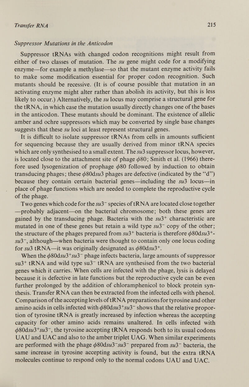 Suppressor Mutations in the Anticodon Suppressor tRNAs with changed codon recognitions might result from either of two classes of mutation. The su gene might code for a modifying enzyme—for example a methylase—so that the mutant enzyme activity fails to make some modification essential for proper codon recognition. Such mutants should be recessive. (It is of course possible that mutation in an activating enzyme might alter rather than abolish its activity, but this is less likely to occur.) Alternatively, the su locus may comprise a structural gene for the tRNA, in which case the mutation usually directly changes one of the bases in the anticodon. These mutants should be dominant. The existence of allelic amber and ochre suppressors which may be converted by single base changes suggests that these su loci at least represent structural genes. It is difficult to isolate suppressor tRNAs from cells in amounts sufficient for sequencing because they are usually derived from minor tRNA species which are only synthesised to a small extent. The su3 suppressor locus, however, is located close to the attachment site of phage </>80; Smith et al. (1966) there fore used lysogenization of prophage 080 followed by induction to obtain transducing phages; these (f)80dsu3 phages are defective (indicated by the d) because they contain certain bacterial genes—including the su3 locus—in place of phage functions which are needed to complete the reproductive cycle of the phage. Two genes which code for the su3~ species of tRNA are located close together —probably adjacent—on the bacterial chromosome; both these genes are gained by the transducing phage. Bacteria with the su3 + characteristic are mutated in one of these genes but retain a wild type su3~ copy of the other; the structure of the phages prepared from su3 + bacteria is therefore (j)80dsu3 + - su3~, although—when bacteria were thought to contain only one locus coding for su3 tRNA—it was originally designated as (f)80dsu3 + . When the (f)SOdsu3 + su3~ phage infects bacteria, large amounts of suppressor su3 + tRNA and wild type su3~ tRNA are synthesised from the two bacterial genes which it carries. When cells are infected with the phage, lysis is delayed because it is defective in late functions but the reproductive cycle can be even further prolonged by the addition of chloramphenicol to block protein syn thesis. Transfer RNA can then be extracted from the infected cells with phenol. Comparison of the accepting levels of tRNA preparations for tyrosine and other amino acids in cells infected with (/)80dsu3 + su3~ shows that the relative propor tion of tyrosine tRNA is greatly increased by infection whereas the accepting capacity for other amino acids remains unaltered. In cells infected with </>80d su3 + su3~, the tyrosine accepting tRNA responds both to its usual codons UAU and UAC and also to the amber triplet UAG. When similar experiments are performed with the phage </>80d su3~su3~ prepared from su3~ bacteria, the same increase in tyrosine accepting activity is found, but the extra tRNA molecules continue to respond only to the normal codons UAU and UAC.