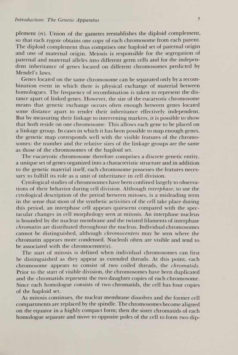 plement (n). Union of the gametes reestablishes the diploid complement, so that each zygote obtains one copy of each chromosome from each parent. The diploid complement thus comprises one haploid set of paternal origin and one of maternal origin. Meiosis is responsible for the segregation of paternal and maternal alleles into different germ cells and for the indepen dent inheritance of genes located on different chromosomes predicted by Mendel's laws. Genes located on the same chromosome can be separated only by a recom bination event in which there is physical exchange of material between homologues. The frequency of recombination is taken to represent the dis tance apart of linked genes. However, the size of the eucaryotic chromosome means that genetic exchange occurs often enough between genes located some distance apart to render their inheritance effectively independent. But by measuring their linkage to intervening markers, it is possible to show that both reside on one chromosome. This allows each gene to be placed on a linkage group. In cases in which it has been possible to map enough genes, the genetic map corresponds well with the visible features of the chromo somes: the number and the relative sizes of the linkage groups are the same as those of the chromosomes of the haploid set. The eucaryotic chromosome therefore comprises a discrete genetic entity, a unique set of genes organized into a characteristic structure and in addition to the genetic material itself, each chromosome possesses the features neces sary to fulfill its role as a unit of inheritance in cell division. Cytological studies of chromosomes have been confined largely to observa tions of their behavior during cell division. Although interphase, to use the cytological description of the period between mitoses, is a misleading term in the sense that most of the synthetic activities of the cell take place during this period, an interphase cell appears quiescent compared with the spec tacular changes in cell morphology seen at mitosis. An interphase nucleus is bounded by the nuclear membrane and the twisted filaments of interphase chromatin are distributed throughout the nucleus. Individual chromosomes cannot be distinguished, although chromocenters may be seen where the chromatin appears more condensed. Nucleoli often are visible and tend to be associated with the chromocenter(s). The start of mitosis is defined when individual chromosomes can first be distinguished as they appear as extended threads. At this point, each chromosome appears to consist of two coiled threads, the chromatids. Prior to the start of visible division, the chromosomes have been duplicated and the chromatids represent the two daughter copies of each chromosome. Since each homologue consists of two chromatids, the cell has four copies of the haploid set. As mitosis continues, the nuclear membrane dissolves and the former cell compartments are replaced by the spindle. The chromosomes become aligned on the equator in a highly compact form; then the sister chromatids of each homologue separate and move to opposite poles of the cell to form two dip-