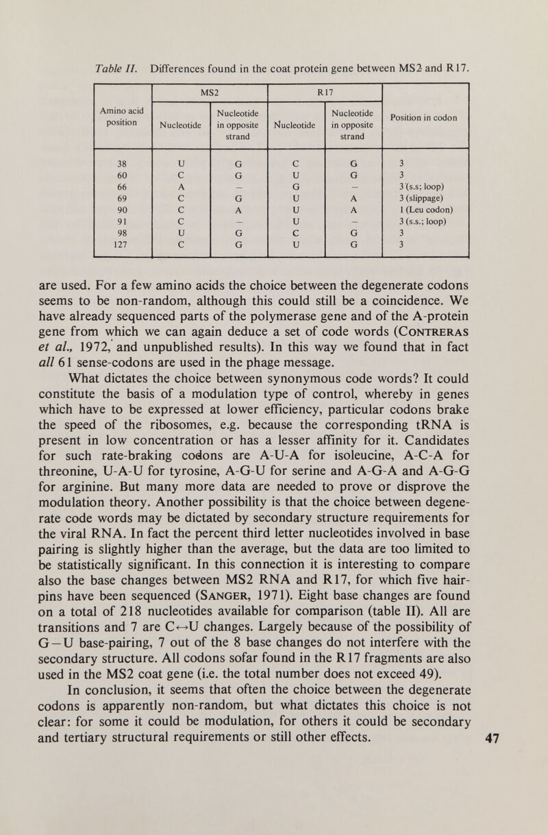 Table //. Differences found in the coat protein gene between MS2 and R17. are used. For a few amino acids the choice between the degenerate codons seems to be non-random, although this could still be a coincidence. We have already sequenced parts of the polymerase gene and of the A-protein gene from which we can again deduce a set of code words (Contreras et al, 1972, and unpublished results). In this way we found that in fact all 61 sense-codons are used in the phage message. What dictates the choice between synonymous code words? It could constitute the basis of a modulation type of control, whereby in genes which have to be expressed at lower efficiency, particular codons brake the speed of the ribosomes, e.g. because the corresponding tRNA is present in low concentration or has a lesser affinity for it. Candidates for such rate-braking codons are A-U-A for isoleucine, A-C-A for threonine, U-A-U for tyrosine, A-G-U for serine and A-G-A and A-G-G for arginine. But many more data are needed to prove or disprove the modulation theory. Another possibility is that the choice between degene¬ rate code words may be dictated by secondary structure requirements for the viral RNA. In fact the percent third letter nucleotides involved in base pairing is slightly higher than the average, but the data are too limited to be statistically significant. In this connection it is interesting to compare also the base changes between MS2 RNA and R17, for which five hair¬ pins have been sequenced (Sanger, 1971). Eight base changes are found on a total of 218 nucleotides available for comparison (table II). All are transitions and 7 are C<-^U changes. Largely because of the possibility of G —и base-pairing, 7 out of the 8 base changes do not interfere with the secondary structure. All codons sofar found in the R17 fragments are also used in the MS2 coat gene (i.e. the total number does not exceed 49). In conclusion, it seems that often the choice between the degenerate codons is apparently non-random, but what dictates this choice is not clear: for some it could be modulation, for others it could be secondary and tertiary structural requirements or still other effects.