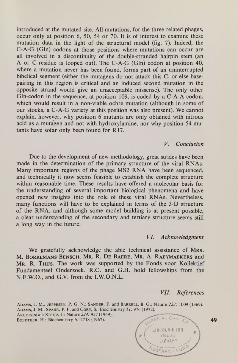 introduced at the mutated site. All mutations, for the three related phages, occur only at position 6, 50, 54 or 70. It is of interest to examine these mutation data in the light of the structural model (ñg. 7). Indeed, the C-A-G (Gin) codons at those positions where mutations can occur are all involved in a discontinuity of the double-stranded hairpin stem (an A or C-residue is looped out). The C-A-G (Gin) codon at position 40, where a mutation never has been found, forms part of an uninterrupted bihelical segment (either the mutagens do not attack this C, or else base- pairing in this region is critical and an induced second mutation in the opposite strand would give an unacceptable missense). The only other Gln-codon in the sequence, at position 109, is coded by a C-A-A codon, which would result in a non-viable ochre mutation (although in some of our stocks, a C-A-G variety at this position was also present). We cannot explain, however, why position 6 mutants are only obtained with nitrous acid as a mutagen and not with hydroxylamine, nor why position 54 mu¬ tants have sofar only been found for R17. Due to the development of new methodology, great strides have been made in the determination of the primary structure of the viral RNAs. Many important regions of the phage MS2 RNA have been sequenced, and technically it now seems feasible to establish the complete structure within reasonable time. These results have offered a molecular basis for the understanding of several important biological phenomena and have opened new insights into the role of these viral RNAs. Nevertheless, many functions will have to be explained in terms of the 3-D structure of the RNA, and although some model building is at present possible, a clear understanding of the secondary and tertiary structure seems still a long way in the future. We gratefully acknowledge the able technical assistance of Mrs. M. Borremans-Bensch, Mr. R. De Baere, Mr. A. Raeymaekers and Mr. R. Thus. The work was supported by the Fonds voor Kollektief Fundamenteel Onderzoek. R.C. and G.H. hold fellowships from the N.F.W.O., and G.V. from the I.W.O.N.L. Adams, J. M.; Jeppesen, P. G. N.; Sanger, F. and Barrell, B. G.: Nature 223: 1009 (1969). Adams, J. M.; Spahr, P. F. and Cory, S.: Biochemistry 11: 976 (1972). Argetsinger-Steitz, J.: Nature 224: 957 (1969). V. Conclusion VI. Acknowledgment VIL References Boedtker, H.; Biochemistry 6: 2718 (1967). 49