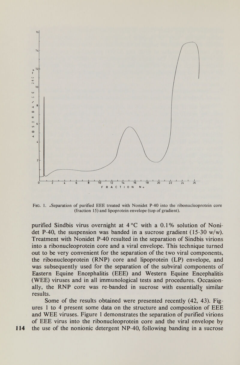 16 FRACTION No F'IG. 1. »Separation of purified EEE treated with Nonidet P-40 into the ribonucleoprotein core (fraction 15) and lipoprotein envelope (top of gradient). purified Sindbis virus overnight at 4 °C with a 0.1 % solution of Noni¬ det P-40, the suspension was banded in a sucrose gradient (15-30 w/w). Treatment with Nonidet P-40 resulted in the separation of Sindbis virions into a ribonucleoprotein core and a viral envelope. This technique turned out to be very convenient for the separation of the two viral components, the ribonucleoprotein (RNP) core and lipoprotein (LP) envelope, and was subsequently used for the separation of the subviral components of Eastern Equine Encephalitis (EEE) and Western Equine Encephalitis (WEE) viruses and in all immunological tests and procedures. Occasion¬ ally, the RNP core was re-banded in sucrose with essentiallj^ similar results. Some of the results obtained were presented recently (42, 43). Fig¬ ures 1 to 4 present some data on the structure and composition of EEE and WEE viruses. Figure 1 demonstrates the separation of purified virions of EEE virus into the ribonucleoprotein core and the viral envelope by 114 the use of the nonionic detergent NP-40, following banding in a sucrose