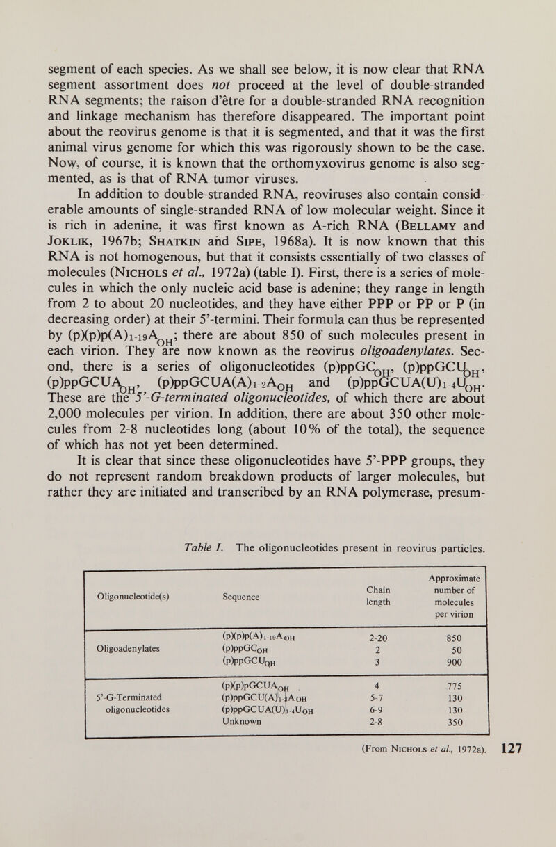 segment of each species. As we shall see below, it is now clear that RNA segment assortment does not proceed at the level of double-stranded RNA segments; the raison d'être for a double-stranded RNA recognition and linkage mechanism has therefore disappeared. The important point about the reovirus genome is that it is segmented, and that it was the first animal virus genome for which this was rigorously shown to be the case. Now, of course, it is known that the orthomyxovirus genome is also seg¬ mented, as is that of RNA tumor viruses. In addition to double-stranded RNA, reoviruses also contain consid¬ erable amounts of single-stranded RNA of low molecular weight. Since it is rich in adenine, it was first known as A-rich RNA (Bellamy and JoKLiK, 1967b; Shatkin and Sipe, 1968a). It is now known that this RNA is not homogenous, but that it consists essentially of two classes of molecules (Nichols et al., 1972a) (table I). First, there is a series of mole¬ cules in which the only nucleic acid base is adenine; they range in length from 2 to about 20 nucleotides, and they have either PPP or PP or P (in decreasing order) at their 5'-termini. Their formula can thus be represented by (pXp)p(A)i-i9A^^; there are about 850 of such molecules present in each virion. They are now known as the reovirus oligoadenylates. Sec¬ ond, there is a series of oligonucleotides (р)ррОСд^^, (p)ppGCLL , (p)ppGCU^j^, ^ (p)ppGCUA(A)i-2AoH and (p)ppGCUA(U)i-4Uqjj. These are the 5'-G-terminated oligonucleotides, of which there are about 2,000 molecules per virion. In addition, there are about 350 other mole¬ cules from 2-8 nucleotides long (about 10% of the total), the sequence of which has not yet been determined. It is clear that since these oligonucleotides have 5'-PPP groups, they do not represent random breakdown products of larger molecules, but rather they are initiated and transcribed by an RNA polymerase, presum- Table I. The oligonucleotides present in reovirus particles. (From Nichols et ai, 1972a).