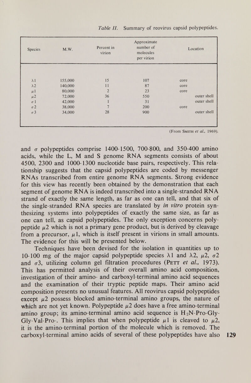 Table II. Summary of reovirus capsid polypeptides. (From Smith et at., 1969). and a polypeptides comprise 1400-1500, 700-800, and 350-400 amino acids, while the L, M and S genome RNA segments consists of about 4500, 2300 and 1000-1300 nucleotide base pairs, respectively. This rela¬ tionship suggests that the capsid polypeptides are coded by messenger RNAs transcribed from entire genome RNA segments. Strong evidence for this view has recently been obtained by the demonstration that each segment of genome RNA is indeed transcribed into a single-stranded RNA strand of exactly the same length, as far as one can tell, and that six of the single-stranded RNA species are translated by in vitro protein syn¬ thesizing systems into polypeptides of exactly the same size, as far as one can tell, as capsid polypeptides. The only exception concerns poly¬ peptide д2 which is not a primary gene product, but is derived by cleavage from a precursor, /il, which is itself present in virions in small amounts. The evidence for this will be presented below. Techniques have been devised for the isolation in quantities up to 10-100 mg of the major capsid polypeptide species XI and Л2, ц2, g2 and сгЗ, utilizing column gel filtration procedures (Pett et al, 1973). This has permitted analysis of their overall amino acid composition, investigation of their amino- and carboxyl-terminal amino acid sequences and the examination of their tryptic peptide maps. Their amino acid composition presents no unusual features. All reovirus capsid polypeptides except fil possess blocked amino-terminal amino groups, the nature of which are not yet known. Polypeptide ц2 does have a free amino-terminal amino group; its amino-terminal amino acid sequence is HaN-Pro-Gly- Gly-Val-Pro-. This implies that when polypeptide д1 is cleaved to ju2, it is the amino-terminal portion of the molecule which is removed. The carboxyl-terminal amino acids of several of these polypeptides have also