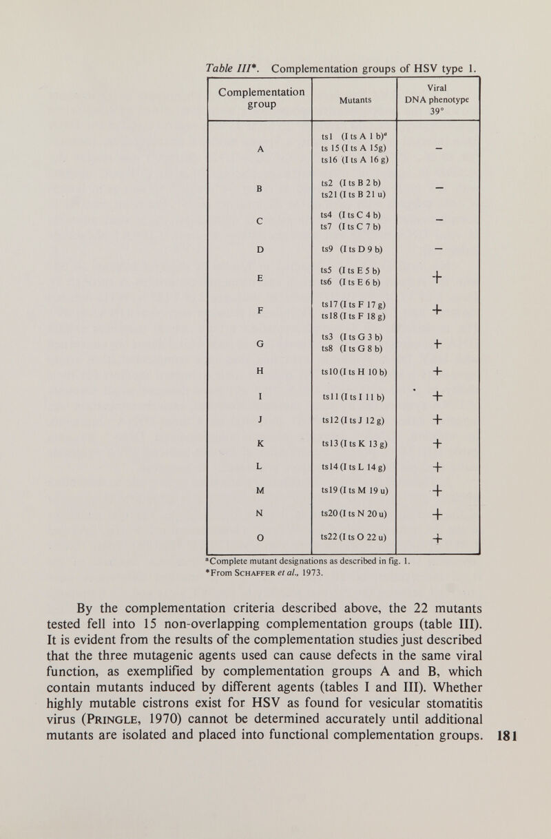 Table III*. Complementation groups of HSV type 1. Complete mutant designations as described in fig. 1. *From SCHAFFER et ai, 1973. By the complementation criteria described above, the 22 mutants tested fell into 15 non-overlapping complementation groups (table III). It is evident from the results of the complementation studies just described that the three mutagenic agents used can cause defects in the same viral function, as exemplified by complementation groups A and B, which contain mutants induced by different agents (tables I and III). Whether highly mutable cistrons exist for HSV as found for vesicular stomatitis virus (Pringle, 1970) cannot be determined accurately until additional mutants are isolated and placed into functional complementation groups.