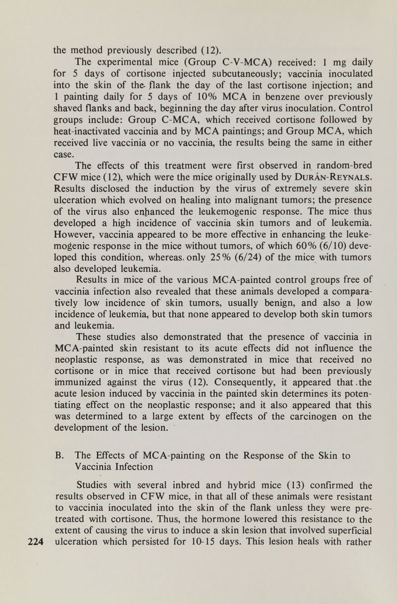 the method previously described (12). The experimental mice (Group C-V-MCA) received: 1 mg daily for 5 days of cortisone injected subcutaneously; vaccinia inoculated into the skin of the- flank the day of the last cortisone injection; and 1 painting daily for 5 days of 10% MCA in benzene over previously shaved flanks and back, beginning the day after virus inoculation. Control groups include: Group C-MCA, which received cortisone followed by heat-inactivated vaccinia and by MCA paintings; and Group MCA, which received live vaccinia or no vaccinia, the results being the same in either case. The effects of this treatment were first observed in random-bred CFW mice (12), which were the mice originally used by Durán-Reynals. Results disclosed the induction by the virus of extremely severe skin ulceration which evolved on healing into malignant tumors; the presence of the virus also enhanced the leukemogenic response. The mice thus developed a high incidence of vaccinia skin tumors and of leukemia. However, vaccinia appeared to be more effective in enhancing the leuke¬ mogenic response in the mice without tumors, of which 60% (6/10) deve¬ loped this condition, whereas, only 25% (6/24) of the mice with tumors also developed leukemia. Results in mice of the various MCA-painted control groups free of vaccinia infection also revealed that these animals developed a compara¬ tively low incidence of skin tumors, usually benign, and also a low incidence of leukemia, but that none appeared to develop both skin tumors and leukemia. These studies also demonstrated that the presence of vaccinia in MCA-painted skin resistant to its acute effects did not influence the neoplastic response, as was demonstrated in mice that received no cortisone or in mice that received cortisone but had been previously immunized against the virus (12). Consequently, it appeared that.the acute lesion induced by vaccinia in the painted skin determines its poten¬ tiating effect on the neoplastic response; and it also appeared that this was determined to a large extent by effects of the carcinogen on the development of the lesion. B. The Effects of MCA-painting on the Response of the Skin to Vaccinia Infection Studies with several inbred and hybrid mice (13) confirmed the results observed in CFW mice, in that all of these animals were resistant to vaccinia inoculated into the skin of the flank unless they were pre- treated with cortisone. Thus, the hormone lowered this resistance to the extent of causing the virus to induce a skin lesion that involved superficial 224 ulceration which persisted for 10-15 days. This lesion heals with rather