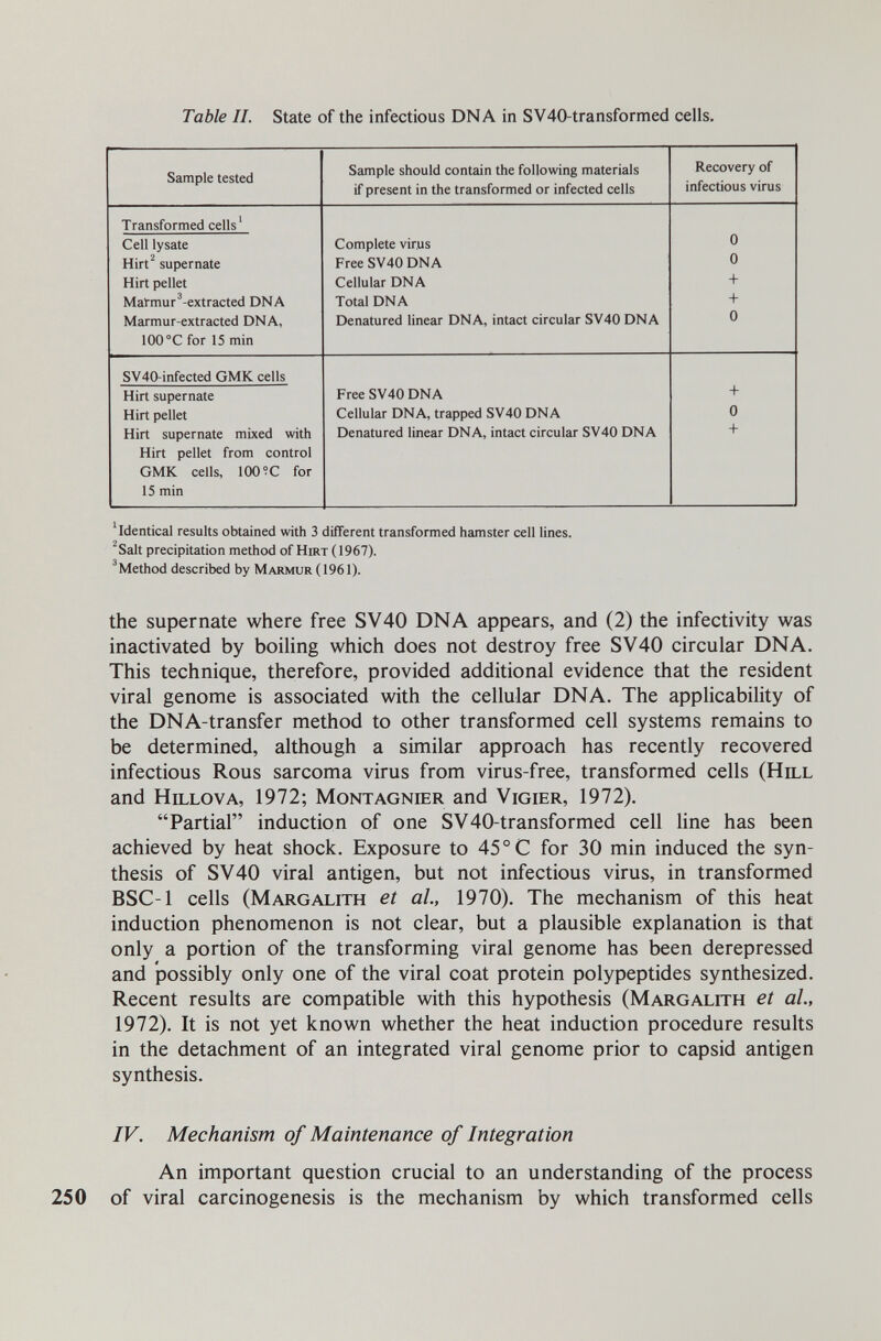 Table IL State of the infectious DNA in SV40-transformed cells. ' Identical results obtained with 3 different transformed hamster cell lines. ^Salt precipitation method of Hirt ( 1967). ^Method described by Marmur (1961). the supernate where free SV40 DNA appears, and (2) the infectivity was inactivated by boihng which does not destroy free SV40 circular DNA. This technique, therefore, provided additional evidence that the resident viral genome is associated with the cellular DNA. The applicability of the DNA-transfer method to other transformed cell systems remains to be determined, although a similar approach has recently recovered infectious Rous sarcoma virus from virus-free, transformed cells (Hill and hillova, 1972; Montagnier and Vigier, 1972). Partial induction of one SV40-transformed cell line has been achieved by heat shock. Exposure to 45° С for 30 min induced the syn¬ thesis of SV40 viral antigen, but not infectious virus, in transformed BSC-1 cells (Margalith et al., 1970). The mechanism of this heat induction phenomenon is not clear, but a plausible explanation is that only a portion of the transforming viral genome has been derepressed and possibly only one of the viral coat protein polypeptides synthesized. Recent results are compatible with this hypothesis (Margalith et al, 1972). It is not yet known whether the heat induction procedure results in the detachment of an integrated viral genome prior to capsid antigen synthesis. IV. Mechanism of Maintenance of Integration An important question crucial to an understanding of the process 250 of viral carcinogenesis is the mechanism by which transformed cells