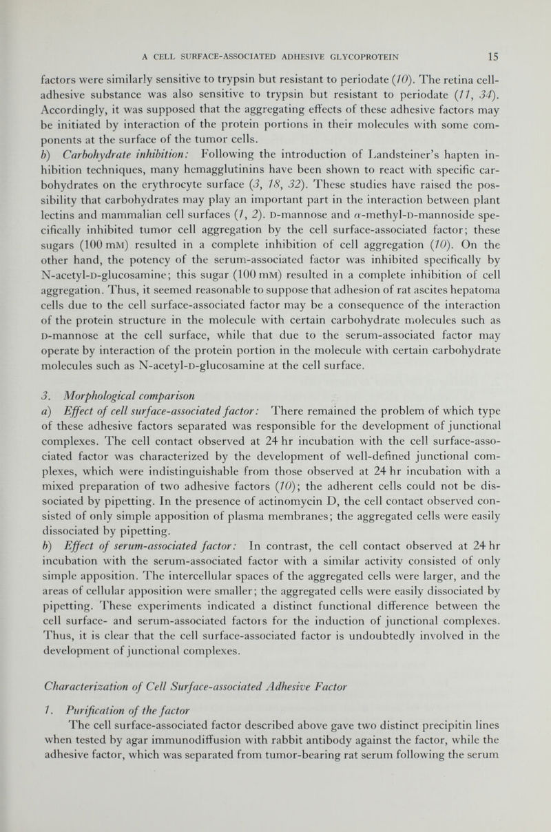 factors were similarly sensitive to trypsin but resistant to periodate {10). The retina cell- adhesive substance was also sensitive to trypsin but resistant to periodate (77, 34). Accordingly, it was supposed that the aggregating effects of these adhesive factors may be initiated by interaction of the protein portions in their molecules with some com ponents at the surface of the tumor cells. b) Carbohydrate inhibition: Following the introduction of Landsteiner's hapten in hibition techniques, many hemagglutinins have been shown to react with specific car bohydrates on the erythrocyte surface (3, 18, 32). These studies have raised the pos sibility that carbohydrates may play an important part in the interaction between plant lectins and mammalian cell surfaces (7, 2). D -mannose and rr -methyl -D -mannoside spe cifically inhibited tumor cell aggregation by the cell surface-associated factor; these sugars (100 mM) resulted in a complete inhibition of cell aggregation (10). On the other hand, the potency of the serum-associated factor was inhibited specifically by N-acetyl -D -glucosamine; this sugar (100 mM) resulted in a complete inhibition of cell aggregation. Thus, it seemed reasonable to suppose that adhesion of rat ascites hepatoma cells due to the cell surface-associated factor may be a consequence of the interaction of the protein structure in the molecule with certain carbohydrate molecules such as D -mannose at the cell surface, while that due to the serum-associated factor may operate by interaction of the protein portion in the molecule with certain carbohydrate molecules such as N-acetyl -D -glucosamine at the cell surface. 3. Morphological comparison a) Effect of cell surface-associated factor: There remained the problem of which type of these adhesive factors separated was responsible for the development of junctional complexes. The cell contact observed at 24 hr incubation with the cell surface-asso ciated factor was characterized by the development of well-defined junctional com plexes, which were indistinguishable from those observed at 24 hr incubation with a mixed preparation of two adhesive factors (10); the adherent cells could not be dis sociated by pipetting. In the presence of actinomycin D, the cell contact observed con sisted of only simple apposition of plasma membranes; the aggregated cells were easily dissociated by pipetting. b) Effect of serum-associated factor: In contrast, the cell contact observed at 24 hr incubation with the serum-associated factor with a similar activity consisted of only simple apposition. The intercellular spaces of the aggregated cells were larger, and the areas of cellular apposition were smaller; the aggregated cells were easily dissociated by pipetting. These experiments indicated a distinct functional difference between the cell surface- and serum-associated factois for the induction of junctional complexes. Thus, it is clear that the cell surface-associated factor is undoubtedly involved in the development of junctional complexes. Characterization of Cell Surface-associated Adhesive Factor 1. Purification of the factor The cell surface-associated factor described above gave two distinct precipitin lines when tested by agar immunodiffusion with rabbit antibody against the factor, while the adhesive factor, which was separated from tumor-bearing rat serum following the serum