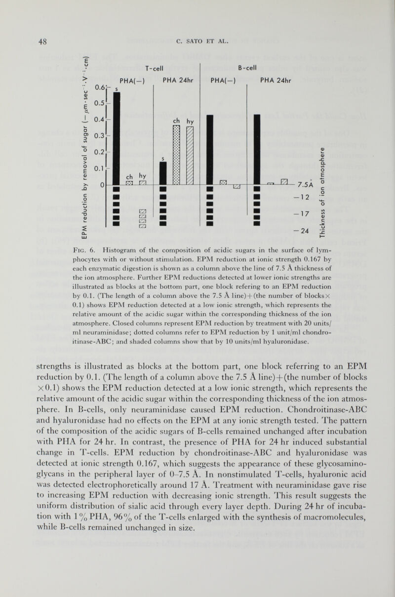 E U U <1> E 3. o ö ) D O > o E <D >S _Q c o u D ~o 0) k_ Û. T-cell 0.6 j- s 0.5- 0.4- 0.3- 0, 0.1 - 0 PHA(-) eh hy m 1771 ezi CZ3 (Z3 EZI PHA 24hr eh hy VX s I B-cell PHA(-) PHA 24hr _E3_ W J0_ - 7.5A -12 -17 -24 a> i— <D O E c O <D C Fig . 6. Histogram of the composition of acidic sugars in the surface of lym phocytes with or without stimulation. EPM reduction at ionic strength 0.167 by each enzymatic digestion is shown as a column above the line of 7.5 Â thickness of the ion atmosphere. Further EPM reductions detected at lower ionic strengths are illustrated as blocks at the bottom part, one block refering to an EPM reduction by 0.1. (The length of a column above the 7.5 Â line) + (the number of blocksX 0.1) shows EPM reduction detected at a low ionic strength, which represents the relative amount of the acidic sugar within the corresponding thickness of the ion atmosphere. Closed columns represent EPM reduction by treatment with 20 units/ ml neuraminidase; dotted columns refer to EPM reduction by 1 unit/ml chondro- itinase-ABC; and shaded columns show that by 10 units/ml hyaluronidase. strengths is illustrated as blocks at the bottom part, one block referring to an EPM reduction by 0.1. (The length of a column above the 7.5 Â line) + (the number of blocks XO.1) shows the EPM reduction detected at a low ionic strength, which represents the relative amount of the acidic sugar within the corresponding thickness of the ion atmos phere. In B-cells, only neuraminidase caused EPM reduction. Chondroitinase-ABC and hyaluronidase had no effects on the EPM at any ionic strength tested. The pattern of the composition of the acidic sugars of B-cells remained unchanged after incubation with PHA for 24 hr. In contrast, the presence of PHA for 24 hr induced substantial change in T-cells. EPM reduction by chondroitinase-ABC and hyaluronidase was detected at ionic strength 0.167, which suggests the appearance of these glycosamino- glycans in the peripheral layer of 0-7.5 Â. In nonstimulated T-cells, hyaluronic acid was detected electrophoretically around 17 Â. Treatment with neuraminidase gave rise to increasing EPM reduction with decreasing ionic strength. This result suggests the uniform distribution of sialic acid through every layer depth. During 24 hr of incuba tion with 1 % PHA, 96% of the T-cells enlarged with the synthesis of macromolecules, while B-cells remained unchanged in size.