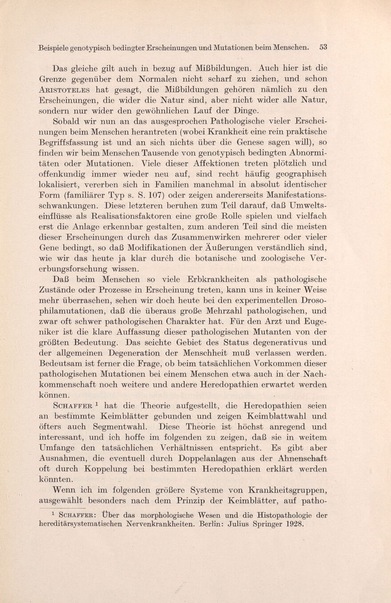 Beispiele genotypisch bedingter Erscheinungen und Mutationen beim Menschen. 53 Das gleiche gilt auch in bezug auf Mißbildungen. Auch hier ist die Grenze gegenüber dem Normalen nicht scharf zu ziehen, und schon Abistotelbs hat gesagt, die Mißbildungen gehören nämlich zu den Erscheinungen, die wider die Natur sind, aber nicht wider alle Natur, sondern nur wider den gewöhnlichen Lauf der Dinge. Sobald wir nun an das ausgesprochen Pathologische vieler Erschei¬ nungen beim Menschen herantreten (wobei Krankheit eine rein praktische Begriffsfassung ist und an sich nichts über die Genese sagen will), so finden wir beim Menschen Tausende von genotypisch bedingten Abnormi¬ täten oder Mutationen. Viele dieser Affektionen treten plötzlich und offenkundig immer wieder neu auf, sind recht häufig geographisch lokalisiert, vererben sich in Familien manchmal in absolut identischer Form (familiärer Typ s. S. 107) oder zeigen andererseits Manifestations¬ schwankungen. Diese letzteren beruhen zum Teil darauf, daß Umwelts¬ einflüsse als Realisationsfaktoren eine große Rolle spielen und vielfach erst die Anlage erkennbar gestalten, zum anderen Teil sind die meisten dieser Erscheinungen durch das Zusammenwirken mehrerer oder vieler Gene bedingt, so daß Modifikationen der Äußerungen verständlich sind, wie wir das heute ja klar durch die botanische und zoologische Ver¬ erbungsforschung wissen. Daß beim Menschen so viele Erbkrankheiten als pathologische Zustände oder Prozesse in Erscheinung treten, kann uns in keiner Weise mehr überraschen, sehen wir doch heute bei den experimentellen Droso- philamutationen, daß die überaus große Mehrzahl pathologischen, und zwar oft schwer pathologischen Charakter hat. Für den Arzt und Euge¬ niker ist die klare Auffassung dieser pathologischen Mutanten von der größten Bedeutung. Das seichte Gebiet des Status degenerati vus und der allgemeinen Degeneration der Menschheit muß verlassen werden. Bedeutsam ist ferner die Frage, ob beim tatsächlichen Vorkommen dieser pathologischen Mutationen bei einem Menschen etwa auch in der Nach¬ kommenschaft noch weitere und andere Heredopathien erwartet werden können. Schaffek 1 hat die Theorie aufgestellt, die Heredopathien seien an bestimmte Keimblätter gebunden und zeigen Keimblattwahl und öfters auch Segmentwahl. Diese Theorie ist höchst anregend und interessant, und ich hoffe im folgenden zu zeigen, daß sie in weitem Umfange den tatsächlichen Verhältnissen entspricht. Es gibt aber Ausnahmen, die eventuell durch Doppelanlagen aus der Ahnenschaft oft durch Koppelung bei bestimmten Heredopathien erklärt werden könnten. Wenn ich im folgenden größere Systeme von Krankheitsgruppen, ausgewählt besonders nach dem Prinzip der Keimblätter, auf patho- 1 Schaffer: Über das morphologische Wesen und die Histopathologie der hereditärsystematischen Nervenkrankheiten. Berlin: Julius Springer 1928.