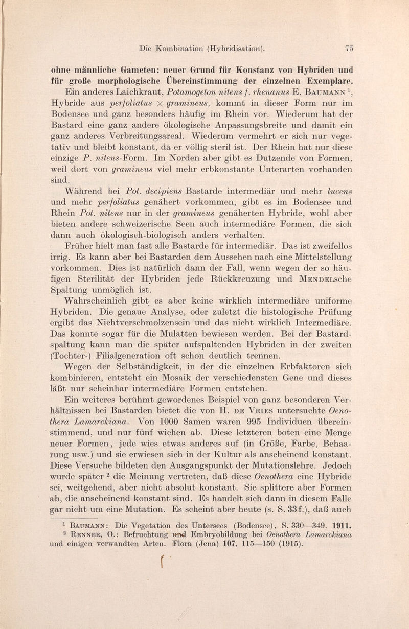 Die Kombination (Hybridisation). 75 ohne männliche Gameten: neuer Grund für Konstanz von Hybriden und für große morphologische Übereinstimmung der einzelnen Exemplare. Ein anderes Laichkraut, Potamogetón nitens f. rhenanus E. Battmann1, Hybride aus perfoliatus X gramineus, kommt in dieser Eorm nur im Bodensee und ganz besonders häufig im Rhein vor. Wiederum hat der Bastard eine ganz andere ökologische Anpassungsbreite und damit ein ganz anderes Verbreitungsareal. Wiederum vermehrt er sich nur vege¬ tativ und bleibt konstant, da er völlig steril ist. Der Rhein hat nur diese einzige P. nitens-Form. Im Norden aber gibt es Dutzende von Eormen, weil dort von gramineus viel mehr erbkonstante Unterarten vorhanden sind. Während bei Pot. decipiens Bastarde intermediär und mehr lucens und mehr perfoliatus genähert vorkommen, gibt es im Bodensee und Rhein Pot. nitens nur in der gramineus genäherten Hybride, wohl aber bieten andere schweizerische Seen auch intermediäre Formen, die sich dann auch ökologisch-biologisch anders verhalten. Früher hielt man fast alle Bastarde für intermediär. Das ist zweifellos irrig. Es kann aber bei Bastarden dem Aussehen nach eine Mittelstellung vorkommen. Dies ist natürlich dann der Fall, wenn wegen der so häu¬ figen Sterilität der Hybriden jede Rückkreuzung und MENDELsche Spaltung unmöglich ist. Wahrscheinlich gibt es aber keine wirklich intermediäre uniforme Hybriden. Die genaue Analyse, oder zuletzt die histologische Prüfung ergibt das Nif; lit verseli mo 1 zeusein und das nicht wirklich Intermediäre. Das konnte sogar für die Mulatten bewiesen werden. Bei der Bastard¬ spaltung kann man die später aufspaltenden Hybriden in der zweiten (Tochter-) Filialgeneration oft schon deutlich trennen. Wegen der Selbständigkeit, in der die einzelnen Erbfaktoren sich kombinieren, entsteht ein Mosaik der verschiedensten Gene und dieses läßt nur scheinbar intermediäre Formen entstehen. Ein weiteres berühmt gewordenes Beispiel von ganz besonderen Ver¬ hältnissen bei Bastarden bietet die von H. de Vries untersuchte Oeno¬ thera Lamarckiana. Von 1000 Samen waren 995 Individuen überein¬ stimmend, und nur fünf wichen ab. Diese letzteren boten eine Menge neuer Formen, jede wies etwas anderes auf (in Größe, Farbe, Behaa¬ rung usw.) und sie erwiesen sich in der Kultur als anscheinend konstant. Diese Versuche bildeten den Ausgangspunkt der Mutationslehre. Jedoch wurde später 2 die Meinung vertreten, daß diese Oenothera eine Hybride sei, weitgehend, aber nicht absolut konstant. Sie splittere aber Formen ab, die anscheinend konstant sind. Es handelt sich dann in diesem Falle gar nicht um eine Mutation. Es scheint aber heute (s. S. 33f.), daß auch 1 Baumann: Die Vegetation des Untersees (Bodensee), S. 330—349. 1911. 2 Renner, O. : Befruchtung hth! Embryobildung bei Oenothera Lamarckiana und einigen verwandten Arten. Flora (Jena) 107, 115—150 (1915). f