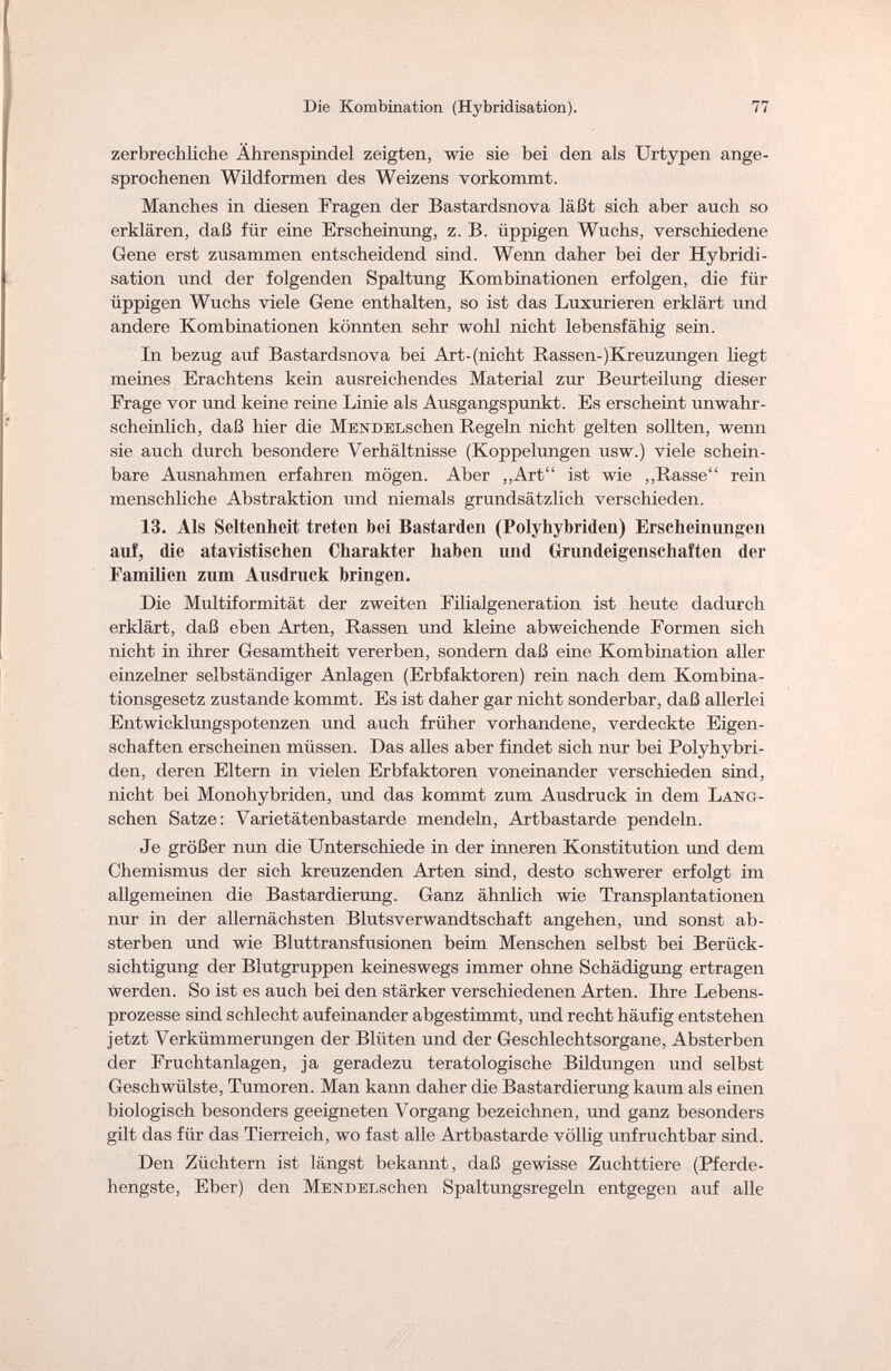 Die Kombination (Hybridisation). 77 zerbrechliche Ährenspindel zeigten, wie sie bei den als Urtypen ange¬ sprochenen Wildformen des Weizens vorkommt. Manches in diesen Fragen der Bastardsnova läßt sich aber auch so erklären, daß für eine Erscheinung, z. B. üppigen Wuchs, verschiedene Gene erst zusammen entscheidend sind. Wenn daher bei der Hybridi¬ sation und der folgenden Spaltung Kombinationen erfolgen, die für üppigen Wuchs viele Gene enthalten, so ist das Luxurieren erklärt und andere Kombinationen könnten sehr wohl nicht lebensfähig sein. In bezug auf Bastardsnova bei Art-(nicht Rassen-^Kreuzungen liegt meines Erachtens kein ausreichendes Material zur Beurteilung dieser Frage vor und keine reine Linie als Atisgangspunkt. Es erscheint unwahr¬ scheinlich, daß hier die MENDELschen Regeln nicht gelten sollten, wenn sie auch durch besondere Verhältnisse (Koppelungen usw.) viele schein¬ bare Ausnahmen erfahren mögen. Aber „Art ist wie „Rasse rein menschliche Abstraktion und niemals grundsätzlich verschieden. 13. Als Seltenheit treten bei Bastarden (Polyhybriden) Erscheinungen auf, die atavistischen Charakter haben und Grundeigenschaften der Familien zum Ausdruck bringen. Die Multiformität der zweiten Filialgeneration ist heute dadurch erklärt, daß eben Arten, Rassen und kleine abweichende Formen sich nicht in ihrer Gesamtheit vererben, sondern daß eine Kombination aller einzelner selbständiger Anlagen (Erbfaktoren) rein nach dem Kombina¬ tionsgesetz zustande kommt. Es ist daher gar nicht sonderbar, daß allerlei Entwicklungspotenzen und auch früher vorhandene, verdeckte Eigen¬ schaften erscheinen müssen. Das alles aber findet sich nur bei Polyhybri¬ den, deren Eltern in vielen Erbfaktoren voneinander verschieden sind, nicht bei Monohybriden, und das kommt zum Ausdruck in dem Lang- schen Satze: Varietätenbastarde mendeln, Artbastarde pendeln. Je größer nun die Unterschiede in der inneren Konstitution und dem Chemismus der sich kreuzenden Arten sind, desto schwerer erfolgt im allgemeinen die Bastardierung. Ganz ähnlich wie Transplantationen nur in der allernächsten Blutsverwandtschaft angehen, und sonst ab¬ sterben und wie Bluttransfusionen beim Menschen selbst bei Berück¬ sichtigung der Blutgruppen keineswegs immer ohne Schädigung ertragen werden. So ist es auch bei den stärker verschiedenen Arten. Ihre Lebens¬ prozesse sind schlecht aufeinander abgestimmt, und recht häufig entstehen jetzt Verkümmerungen der Blüten und der Geschlechtsorgane, Absterben der Fruchtanlagen, ja geradezu teratologische Bildungen und selbst Geschwülste, Tumoren. Man kann daher die Bastardierung kaum als einen biologisch besonders geeigneten Vorgang bezeichnen, imd ganz besonders gilt das für das Tierreich, wo fast alle Artbastarde völlig unfruchtbar sind. Den Züchtern ist längst bekannt, daß gewisse Zuchttiere (Pferde¬ hengste, Eber) den MENDELschen Spaltungsregeln entgegen auf alle