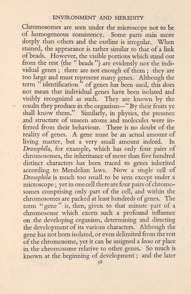 ENVIRONMENT AND HEREDITY « Chromosomes are seen under the microscope not to be of homogeneous consistency. Some parts stain more deeply than others and the outline is irregular. When stained, the appearance is rather similar to that of a link of beads. However, the visible portions which stand out from the rest (the “ beads ”) are evidently not the indi vidual genes ; there are not enough of them ; they are too large and must represent many genes. Although the term “ identification ” of genes has been used, this does not mean that individual genes have been isolated and visibly recognized as such. They are known by the results they produce in the organism—“ By their fruits ye shall know them.” Similarly, in physics, the presence and structure of unseen atoms and molecules were in ferred from their behaviour. There is no doubt of the reality of genes. A gene must be an actual amount of living matter, but a very small amount indeed. In Drosophila, for example, which has only four pairs of chromosomes, the inheritance of more than five hundred distinct characters has been traced to genes inherited according to Mendelian laws. Now a single cell of Drosophila is much too small to be seen except under a microscope; yet in one cell there are four pairs of chromo somes comprising only part of the cell, and within the chromosomes are packed at least hundreds of genes. The term “ gene ” is, then, given to that minute part of a chromosome which exerts such a profound influence on the developing organism, determining and directing the development of its various characters. Although the gene has not been isolated, or even delimited from the rest of the chromosome, yet it can be assigned a locus or place in the chromosome relative to other genes. So much is known at the beginning of development; and the later 58