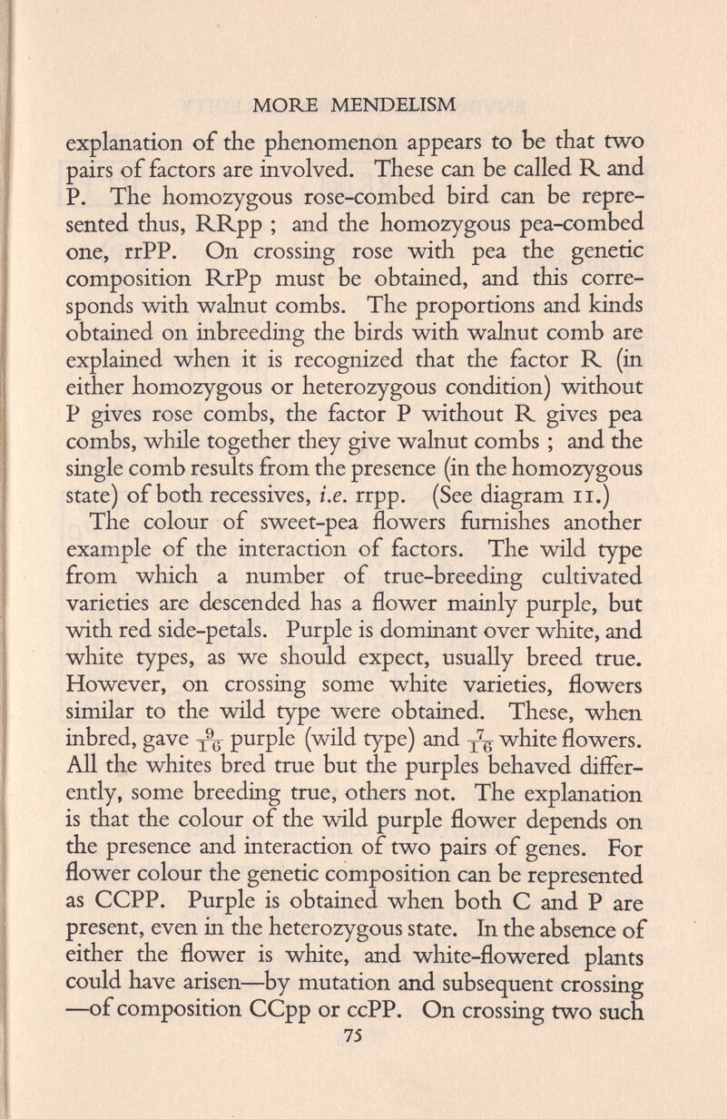 explanation of the phenomenon appears to be that two pairs of factors are involved. These can be called R and P. The homozygous rose-combed bird can be repre sented thus, RRpp ; and the homozygous pea-combed one, rrPP. On crossing rose with pea the genetic composition RrPp must be obtained, and this corre sponds with walnut combs. The proportions and kinds obtained on inbreeding the birds with walnut comb are explained when it is recognized that the factor R (in either homozygous or heterozygous condition) without P gives rose combs, the factor P without R gives pea combs, while together they give walnut combs ; and the single comb results from the presence (in the homozygous state) of both recessives, i.e. rrpp. (See diagram n.) The colour of sweet-pea flowers furnishes another example of the interaction of factors. The wild type from which a number of true-breeding cultivated varieties are descended has a flower mainly purple, but with red side-petals. Purple is dominant over white, and white types, as we should expect, usually breed true. However, on crossing some white varieties, flowers similar to the wild type were obtained. These, when inbred, gave T 9 ^ purple (wild type) and T 7 ^ white flowers. All the whites bred true but the purples behaved differ ently, some breeding true, others not. The explanation is that the colour of the wild purple flower depends on the presence and interaction of two pairs of genes. For flower colour the genetic composition can be represented as CCPP. Purple is obtained when both C and P are present, even in the heterozygous state. In the absence of either the flower is white, and white-flowered plants could have arisen—by mutation and subsequent crossing —of composition CCpp or ccPP. On crossing two such 75