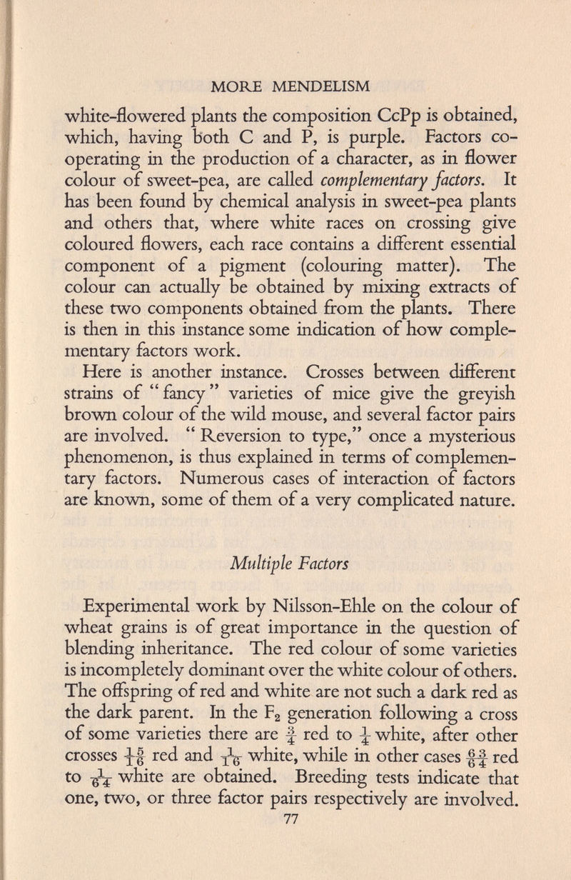 white-flowered plants the composition CcPp is obtained, which, having both C and P, is purple. Factors co operating in the production of a character, as in flower colour of sweet-pea, are called complementary factors. It has been found by chemical analysis in sweet-pea plants and others that, where white races on crossing give coloured flowers, each race contains a different essential component of a pigment (colouring matter). The colour can actually be obtained by mixing extracts of these two components obtained from the plants. There is then in this instance some indication of how comple mentary factors work. Here is another instance. Crosses between different strains of “ fancy ” varieties of mice give the greyish brown colour of the wild mouse, and several factor pairs are involved. “ Reversion to type,” once a mysterious phenomenon, is thus explained in terms of complemen tary factors. Numerous cases of interaction of factors are known, some of them of a very complicated nature. Multiple Factors Experimental work by Nilsson-Ehle on the colour of wheat grains is of great importance in the question of blending inheritance. The red colour of some varieties is incompletely dominant over the white colour of others. The offspring of red and white are not such a dark red as the dark parent. In the F 2 generation following a cross of some varieties there are f red to \ white, after other crosses red and white, while in other cases red to white are obtained. Breeding tests indicate that one, two, or three factor pairs respectively are involved. 77