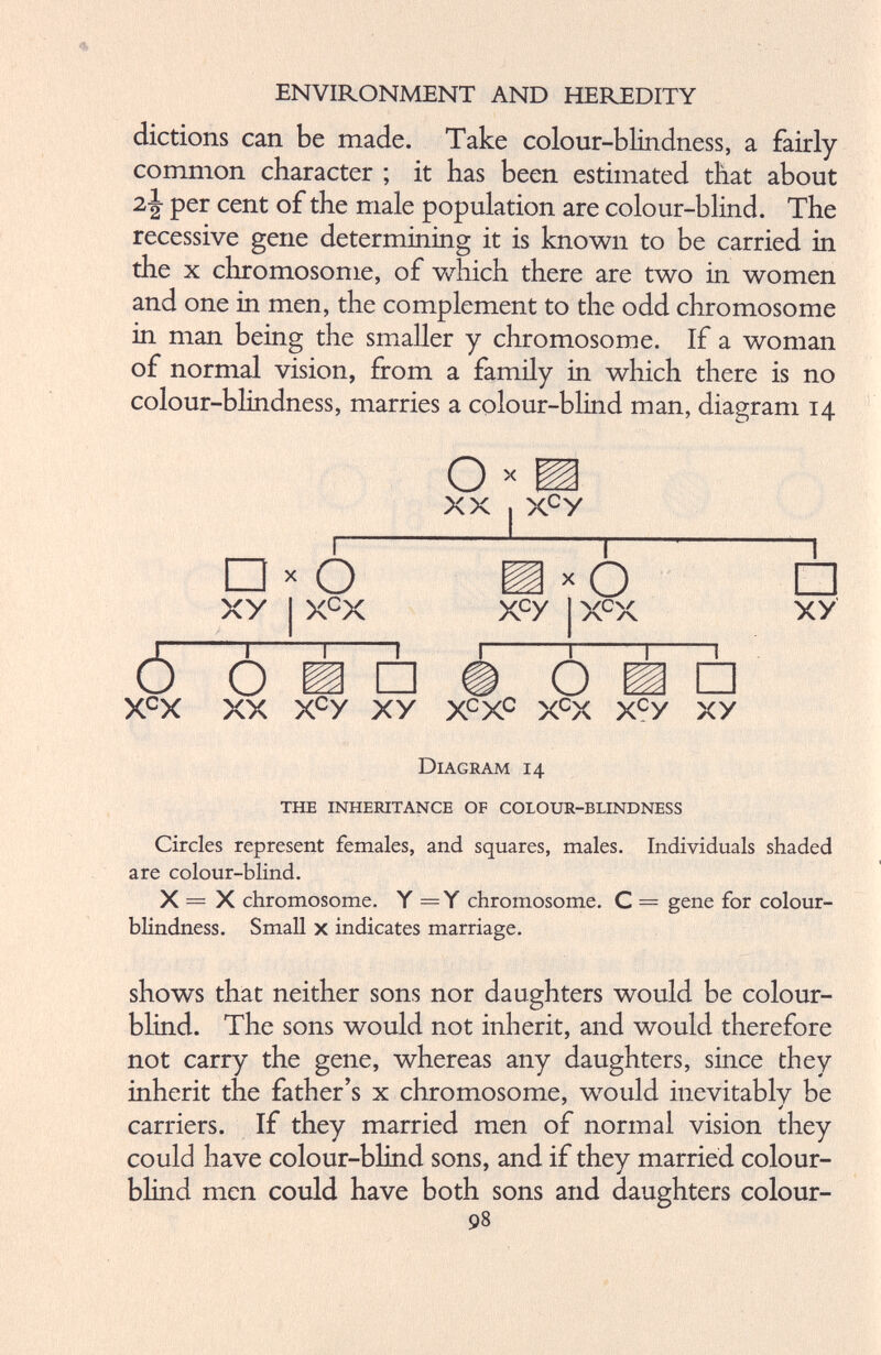 dictions can be made. Take colour-blindness, a fairly common character ; it has been estimated that about 2-| per cent of the male population are colour-blind. The recessive gene determining it is known to be carried in the x chromosome, of which there are two in women and one in men, the complement to the odd chromosome in man being the smaller y chromosome. If a woman of normal vision, from a family in which there is no colour-blindness, marries a colour-blind man, diagram 14 O x A XX , x c y □ X O xy X C X ¿2d X c y 5 x c x o 1 o x c x □ o □ XX X e y xy X e X e X C X X c y xy “I □ xy Diagram 14 THE INHERITANCE OF COLOUR-BLINDNESS Circles represent females, and squares, males. Individuals shaded are colour-blind. X = X chromosome. Y Y chromosome. C = gene for colour blindness. Small x indicates marriage. shows that neither sons nor daughters would be colour blind. The sons would not inherit, and would therefore not carry the gene, whereas any daughters, since they inherit the father’s x chromosome, would inevitably be carriers. If they married men of normal vision they could have colour-blind sons, and if they married colour blind men could have both sons and daughters colour- 93