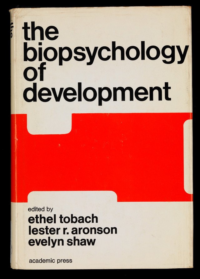 No text description is available for this image