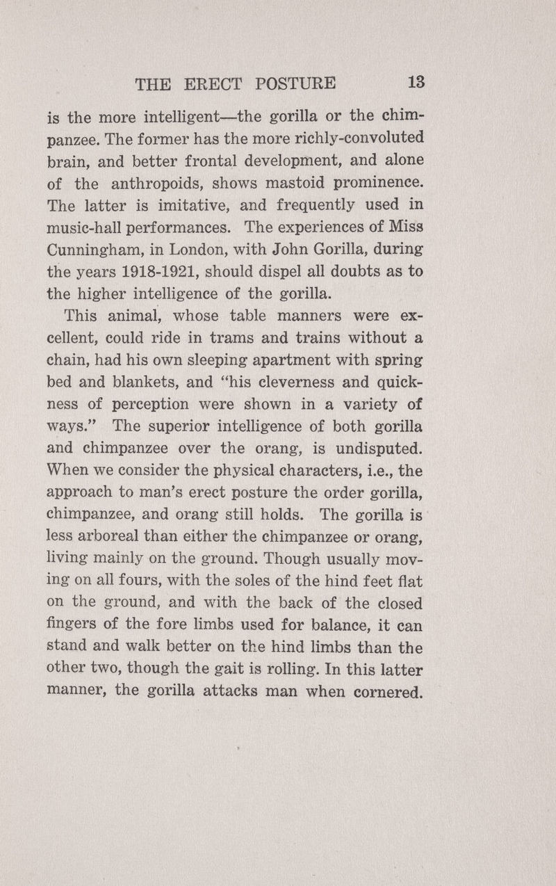 is the more intelligent—the gorilla or the chim panzee. The former has the more richly-convoluted brain, and better frontal development, and alone of the anthropoids, shows mastoid prominence. The latter is imitative, and frequently used in music-hall performances. The experiences of Miss Cunningham, in London, with John Gorilla, during the years 1918-1921, should dispel all doubts as to the higher intelligence of the gorilla. This animal, whose table manners were ex cellent, could ride in trams and trains without a chain, had his own sleeping apartment with spring bed and blankets, and “his cleverness and quick ness of perception were shown in a variety of ways.” The superior intelligence of both gorilla and chimpanzee over the orang, is undisputed. When we consider the physical characters, i.e., the approach to man’s erect posture the order gorilla, chimpanzee, and orang still holds. The gorilla is less arboreal than either the chimpanzee or orang, living mainly on the ground. Though usually mov ing on all fours, with the soles of the hind feet flat on the ground, and with the back of the closed fingers of the fore limbs used for balance, it can stand and walk better on the hind limbs than the other two, though the gait is rolling. In this latter manner, the gorilla attacks man when cornered.