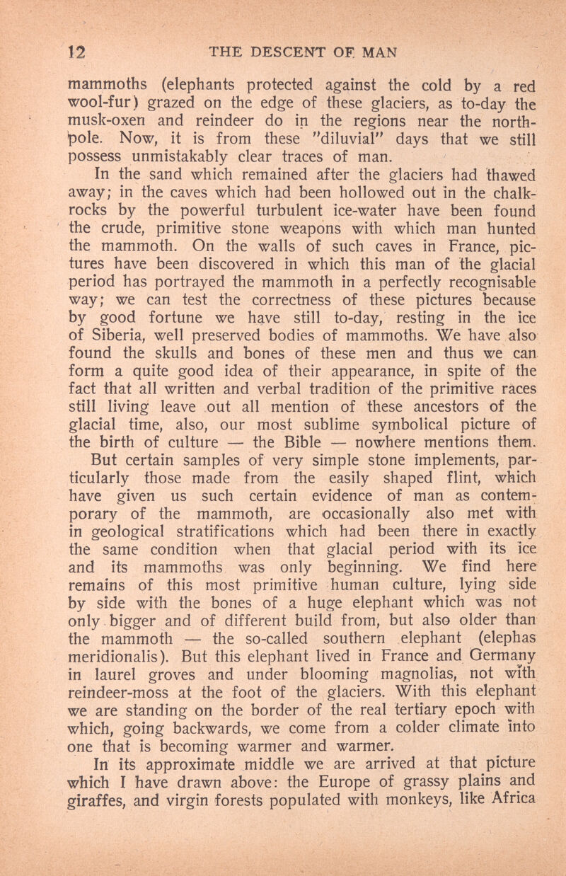 12 THE DESCENT OF. MAN mammoths (elephants protected against the cold by a red wool-fur) grazed on the edge of these glaciers, as to-day the musk-oxen and reindeer do in the regions near the north- 'pole. Now, it is from these 'diluviai days that we still possess unmistakably clear traces of man. In the sand which remained after the glaciers had thawed away; in the caves which had been hollowed out in the chalk- rocks by the powerful turbulent ice-water have been found the crude, primitive stone weapons with which man hunted the mammoth. On the walls of such caves in France, pic¬ tures have been discovered in which this man of the glacial period has portrayed the mammoth in a perfectly recognisable way; we can test the correctness of these pictures because by good fortune we have still to-day, resting in the ice of Siberia, well preserved bodies of mammoths. We have also found the skulls and bones of these men and thus we can form a quite good idea of their appearance, in spite of the fact that all written and verbal tradition of the primitive races still living leave out all mention of these ancestors of the glacial time, also, our most sublime symbolical picture of the birth of culture — the Bible — nowhere mentions them. But certain samples of very simple stone implements, par¬ ticularly those made from the easily shaped flint, which have given us such certain evidence of man as contem¬ porary of the mammoth, are occasionally also met with in geological stratifications which had been there in exactly the same condition when that glacial period with its ice and its mammoths was only beginning. We find here remains of this most primitive human culture, lying side by side with the bones of a huge elephant which was not only bigger and of different build from, but also older than the mammoth — the so-called southern elephant (elephas meridionalis). But this elephant lived in France and Germany in laurel groves and under blooming magnolias, not with reindeer-moss at the foot of the glaciers. With this elephant we are standing on the border of the real tertiary epoch with which, going backwards, we come from a colder climate into one that is becoming warmer and warmer. In its approximate middle we are arrived at that picture which I have drawn above : the Europe of grassy plains and giraffes, and virgin forests populated with monkeys, like Africa