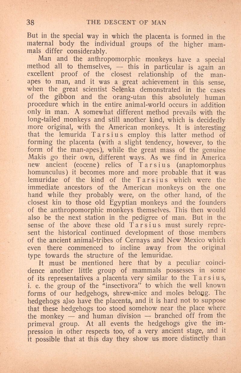 38 THE DESCENT OF MAN But in the special way in which the placenta is formed in the maternal body the individual groups of the higher mam¬ mals differ considerably. Man and the anthropomorphic monkeys have a special method all to themselves, — this in particular is again an excellent proof of the closest relationship of the man- apes to man, and it was a great achievement in this sense, when the great scientist Selenka demonstrated in the cases of the gibbon and the orang-utan this absolutely human procedure which in the entire animal-world occurs in addition only in man. A somewhat different method prevails with the long-tailed monkeys and still another kind, which is decidedly more original, with the American monkeys. It is interesting that the lemurida T a r s i u s employ this latter method of forming the placenta (with a slight tendency, however, to the form of the man-apes), while the great mass of the genuine Makis go their own, different ways. As we find in America new ancient (eocene) relics of Tarsi us (anaptomorphus homunculus) it becomes more and more probable that it was lemuridae of the kind of the T a r s i u s which were the immediate ancestors of the American monkeys on the one hand while they probably were, on the other hand, of the closest kin to those old Egyptian monkeys and the founders of the anthropomorphic monkeys themselves. This then would also be the next station in the pedigree of man. But in the sense of the above these old T a r s i u s must surely repre¬ sent the historical continued development of those members of the ancient animal-tribes of Cernays and New Mexico which even there commenced to incline away from the original type towards the structure of the lemuridae. It must be mentioned here that by a peculiar coinci¬ dence another little group of mammals possesses in some of its representatives a placenta very similar to the T a r s i u s, i. е. the group of the insectívora to which the well known forms of our hedgehogs, shrew-mice and moles belong. The hedgehogs ajso have the placenta, and it is hard not to suppose that these hedgehogs too stood somehow near the place where the monkey — and human division — branched off from the primeval group. At all events the hedgehogs give the im¬ pression in other respects too, of a very ancient stage, and it it possible that at this day they show us more distinctly than