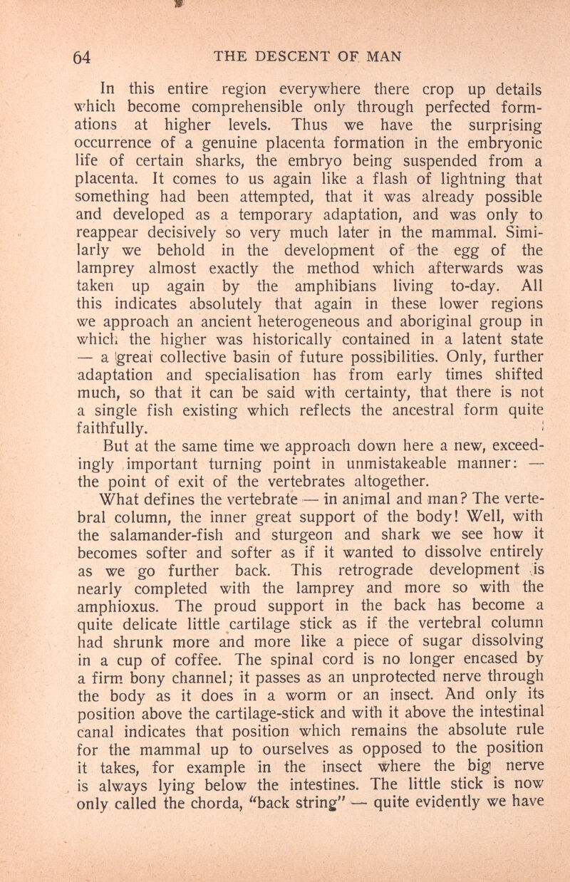 64 THE DESCENT OF. MAN In this entire region everywhere there crop up details which become comprehensible only through perfected form¬ ations at higher levels. Thus we have the surprising occurrence of a genuine placenta formation in the embryonic life of certain sharks, the embryo being suspended from a placenta. It comes to us again like a flash of lightning that something had been attempted, that it was already possible and developed as a temporary adaptation, and was only to reappear decisively so very much later in the mammal. Simi¬ larly we behold in the development of the egg of the lamprey almost exactly the method which afterwards was taken up again by the amphibians living to-day. All this indicates absolutely that again in these lower regions we approach an ancient heterogeneous and aboriginal group in which the higher was historically contained in a latent state — a 'great collective basin of future possibilities. Only, further adaptation and specialisation has from early times shifted much, so that it can be said with certainty, that there is not a single fish existing which reflects the ancestral form quite faithfully. ¡ But at the same time we approach down here a new, exceed¬ ingly important turning point in unmistakeable manner: — the point of exit of the vertebrates altogether. What defines the vertebrate — in animal and man? The verte¬ bral column, the inner great support of the body! Well, with the salamander-fish and sturgeon and shark we see how it becomes softer and softer as if it wanted to dissolve entirely as we go further back. This retrograde development is nearly completed with the lamprey and more so with the amphioxus. The proud support in the back has become a quite delicate little cartilage stick as if the vertebral column had shrunk more and more like a piece of sugar dissolving in a cup of coffee. The spinal cord is no longer encased by a firm bony channel; it passes as an unprotected nerve through the body as it does in a worm or an insect. And only its position above the cartilage-stick and with it above the intestinal canal indicates that position which remains the absolute rule for the mammal up to ourselves as opposed to the position it takes, for example in the insect where the big nerve is always lying below the intestines. The little stick is now only called the chorda, back string — quite evidently we have