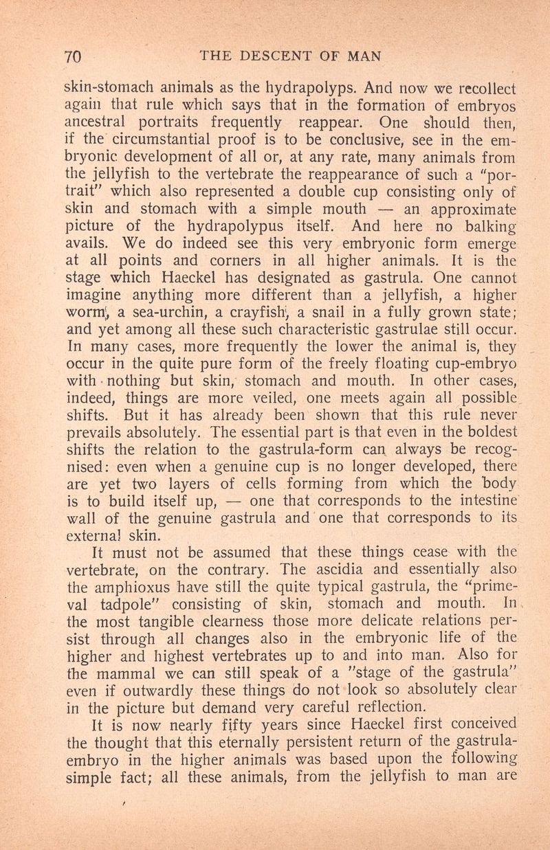 70 THE DESCENT OF MAN ^ ' skin-stomach animals as the hydrapolyps. And now we recollect again that rule which says that in the formation of embryos ancestral portraits frequently reappear. One should then, if the circumstantial proof is to be conclusive, see in the em¬ bryonic development of all or, at any rate, many animals from the jellyfish to the vertebrate the reappearance of such a por¬ trait which also represented a double cup consisting only of skin and stomach with a simple mouth — an approximate picture of the hydrapolypus itself. And here no balking avails. We do indeed see this very embryonic form emerge at all points and corners in all higher animals. It is the stage which Haeckel has designated as gastrula. One cannot imagine anything more different than a jellyfish, a higher worm|, a sea-urchin, a crayfish, a snail in a fully grown state; and yet among all these such characteristic gastrulae still occur. In many cases, more frequently the lower the animal is, they occur in the quite pure form of the freely floating cup-embryo with • nothing but skin, stomach and mouth. In other cases, indeed, things are more veiled, one meets again all possible shifts. But it has already been shown that this rule never prevails absolutely. The essential part is that even in the boldest shifts the relation to the gastrula-form can always be recog¬ nised; even when a genuine cup is no longer developed, there are yet two layers of cells forming from which the body is to build itself up, — one that corresponds to the intestine wall of the genuine gastrula and one that corresponds to its externa] skin. It must not be assumed that these things cease with the vertebrate, on the contrary. The ascidia and essentially also the amphioxus have still the quite typical gastrula, the prime¬ val tadpole consisting of skin, stomach and mouth. In, the most tangible clearness those more delicate relations per¬ sist through all changes also in the embryonic life of the higher and highest vertebrates up to and into man. Also for the mammal we can still speak of a stage of the gastrula even if outwardly these things do not look so absolutely clear in the picture but demand very careful reflection. It is now nearly fifty years since Haeckel first conceived the thought that this eternally persistent return of the gastrula- embryo in the higher animals was based upon the following simple fact; all these animals, from the jellyfish to man are