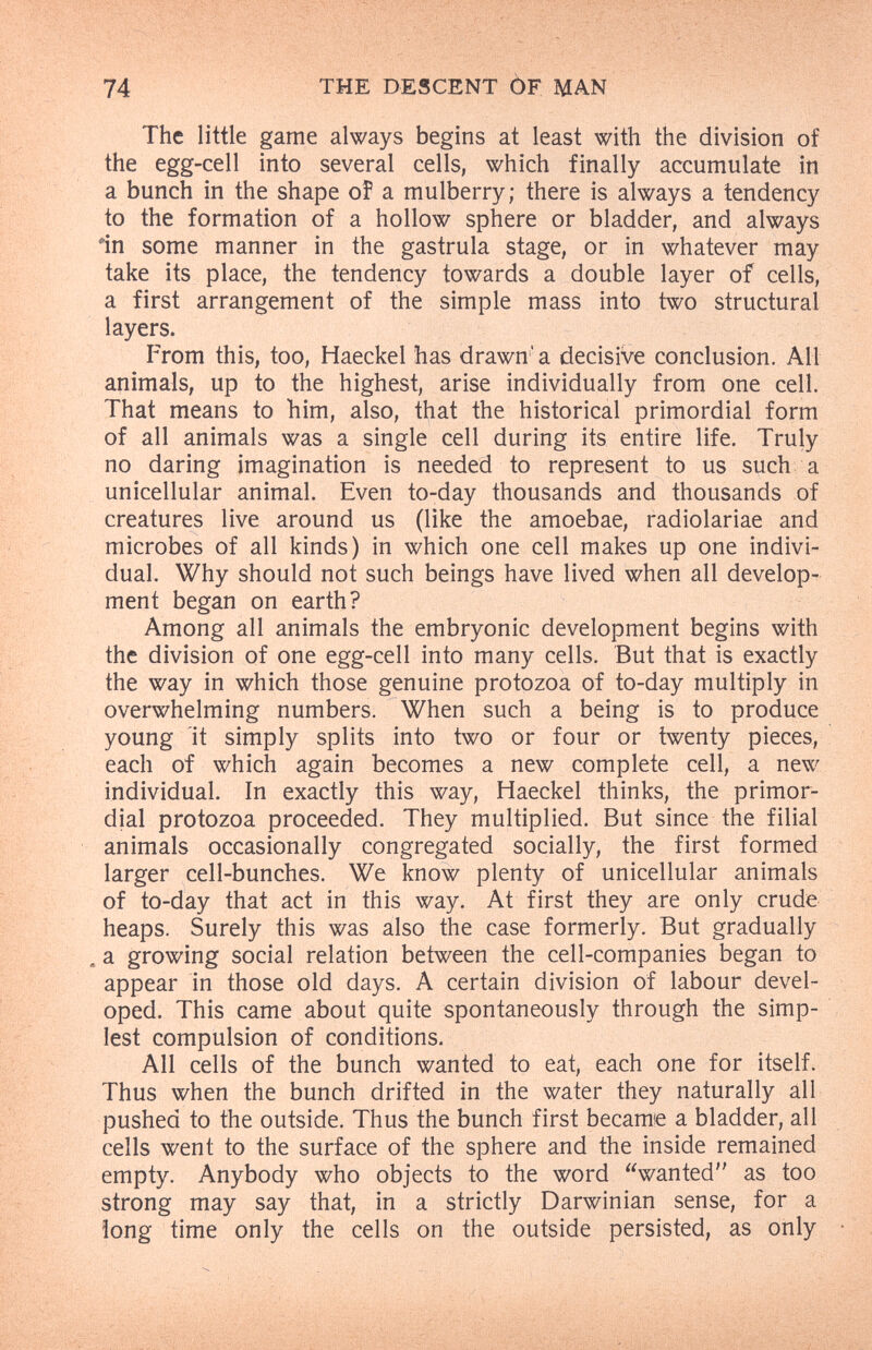 74 THE DESCENT ÒF MAN The little game always begins at least with the division of the egg-cell into several cells, which finally accumulate in a bunch in the shape of a mulberry; there is always a tendency to the formation of a hollow sphere or bladder, and always in some manner in the gastrula stage, or in whatever may take its place, the tendency towards a double layer of cells, a first arrangement of the simple mass into two structural layers. From this, too, Haeckel has drawn'a decisive conclusion. All animals, up to the highest, arise individually from one cell. That means to him, also, that the historical primordial form of all animals was a single cell during its entire life. Truly no daring imagination is needed to represent to us such a unicellular animal. Even to-day thousands and thousands of creatures live around us (like the amoebae, radiolariae and microbes of all kinds) in which one cell makes up one indivi¬ dual. Why should not such beings have lived when all develop¬ ment began on earth? Among all animals the embryonic development begins with the division of one egg-cell into many cells. But that is exactly the way in which those genuine protozoa of to-day multiply in overwhelming numbers. When such a being is to produce young it simply splits into two or four or twenty pieces, each of which again becomes a new complete cell, a new individual. In exactly this way, Haeckel thinks, the primor¬ dial protozoa proceeded. They multiplied. But since the filial animals occasionally congregated socially, the first formed larger cell-bunches. We know plenty of unicellular animals of to-day that act in this way. At first they are only crude heaps. Surely this was also the case formerly. But gradually . a growing social relation between the cell-companies began to appear in those old days. A certain division of labour devel¬ oped. This came about quite spontaneously through the simp¬ lest compulsion of conditions. All cells of the bunch wanted to eat, each one for itself. Thus when the bunch drifted in the water they naturally all pushed to the outside. Thus the bunch first became a bladder, all cells went to the surface of the sphere and the inside remained empty. Anybody who objects to the word wanted as too strong may say that, in a strictly Darwinian sense, for a long time only the cells on the outside persisted, as only