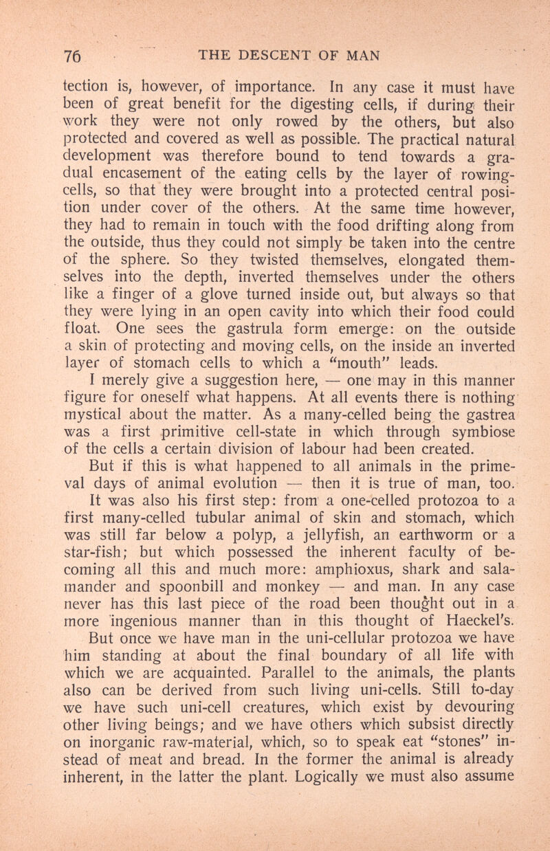 76 THE DESCENT OF MAN tection is, however, of importance. In any case it must have been of great benefit for the digesting cells, if during their work they were not only rowed by the others, but also protected and covered as well as possible. The practical natural development was therefore bound to tend towards a gra¬ dual encasement of the eating cells by the layer of rowing- cells, so that they were brought into a protected central posi¬ tion under cover of the others. At the same time however, they had to remain in touch with the food drifting along from the outside, thus they could not simply be taken into the centre of the sphere. So they twisted themselves, elongated them¬ selves into the depth, inverted themselves under the others like a finger of a glove turned inside out, but always so that they were lying in an open cavity into which their food could float. One sees the gastrula form emerge: on the outside a skin of protecting and moving cells, on the inside an inverted layer of stomach cells to which a mouth leads. I merely give a suggestion here, — one may in this manner figure for oneself what happens. At all events there is nothing mystical about the matter. As a many-celled being the gastrea was a first primitive cell-state in which through symbiose of the cells a certain division of labour had been created. But if this is what happened to all animals in the prime¬ val days of animal evolution — then it is true of man, too. It was also his first step: from a one-celled protozoa to a first many-celled tubular animal of skin and stomach, which was still far below a polyp, a jellyfish, an earthworm or a star-fish; but which possessed the inherent faculty of be¬ coming all this and much more: amphioxus, shark and sala¬ mander and spoonbill and monkey — and man. In any case never has this last piece of the road been thought out in a more ingenious manner than in this thought of Haeckel's. But once we have man in the uni-cellular protozoa we have him standing at about the final boundary of all life with which we are acquainted. Parallel to the animals, the plants also can be derived from such living uni-cells. Still to-day we have such uni-cell creatures, which exist by devouring other living beings; and we have others which subsist directly on inorganic raw-material, which, so to speak eat stones in¬ stead of meat and bread. In the former the animal is already inherent, in the latter the plant. Logically we must also assume