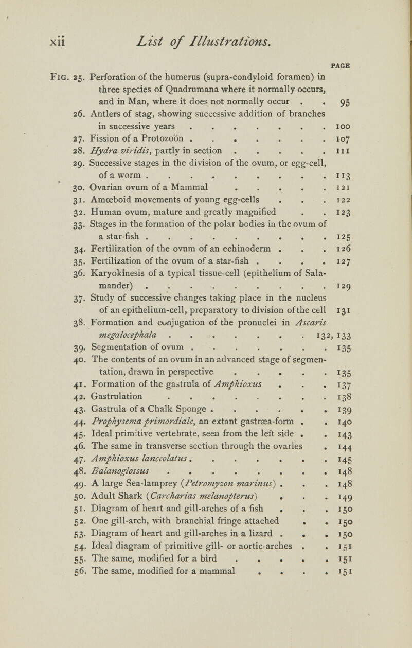 xii List of Illustrations. PAGE Fig. 25. Perforation of the humerus (supra-condyloid foramen) in three species of Quadrumana where it normally occurs, and in Man, where it does not normally occur . . 95 26. Antlers of stag, showing successive addition of branches in successive years .100 27. Fission of a Protozoon 107 28. Hydra viridis, partly in section ill 29. Successive stages in the division of the ovum, or egg-cell, of a worm .  113 30. Ovarian ovum of a Mammal 121 31. Amœboid movements of young egg-cells . . .122 32. Human ovum, mature and greatly magnified . .123 33. Stages in the formation of the polar bodies in the ovum of a star-fish . .  125 34. Fertilization of the ovum of an echinoderm . . .126 35. Fertilization of the ovum of a star-fish . . . .127 36. Karyokinesis of a typical tissue-cell (epithelium of Sala¬ mander) . . . . . . . . .129 37. Study of successive changes taking place in the nucleus of an epithelium-cell, preparatory to division of the cell 131 38. Formation and conjugation of the pronuclei in Ascaris megalocephala 132,133 39. Segmentation of ovum . . . . , . • 135 40. The contents of an ovum in an advanced stage of segmen¬ tation, dravra in perspective . . . . *135 41. Formation of the gastrula of Amphioxus , . «137 42. Gastrulation 138 43. Gastrula of a Chalk Sponge . . . . . »139 44. Prophysema primordiale, лп extant gü.%tx7e3.-íorxa. . .140 45. Ideal primitive vertebrate, seen from the left side . . 143 46. The same in transverse section through the ovaries . 144 47. Amphioxus lanceolatus. . . . . . .145 48. Balanoglossus 148 49. A large Sea-lamprey {Petroniyzon marinus) . . . 148 50. Adult Shark {Carcharias melanopterus'^) , . -149 51. Diagram of heart and gill-arches of a fish . . .150 52. One gill-arch, with branchial fringe attached . .150 53. Diagram of heart and gill-arches in a lizard . . .150 54. Ideal diagram of primitive gill- or aortic-arches . .151 55. The same, modified for a bird ..... 151 56. The same, modified for a mammal . . . .151